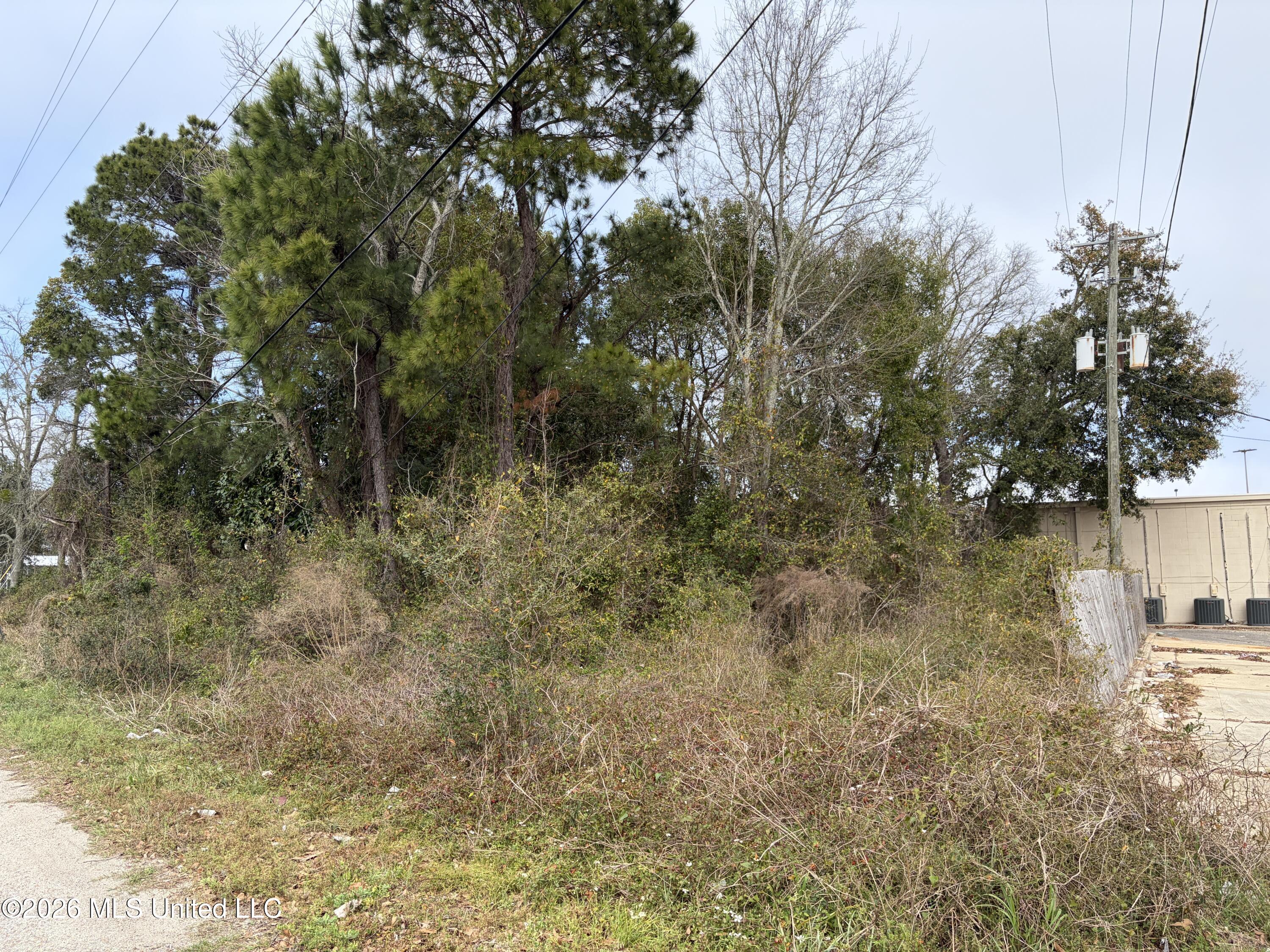 205 2nd Avenue Property Photo 9