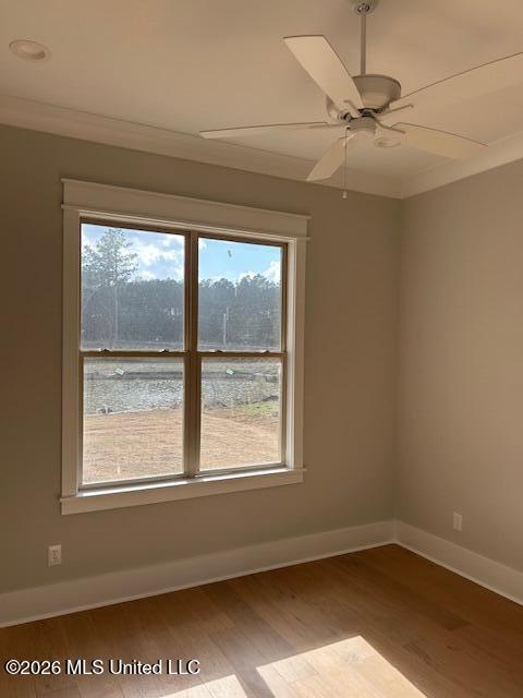 103 Katherine Lane Property Photo 14