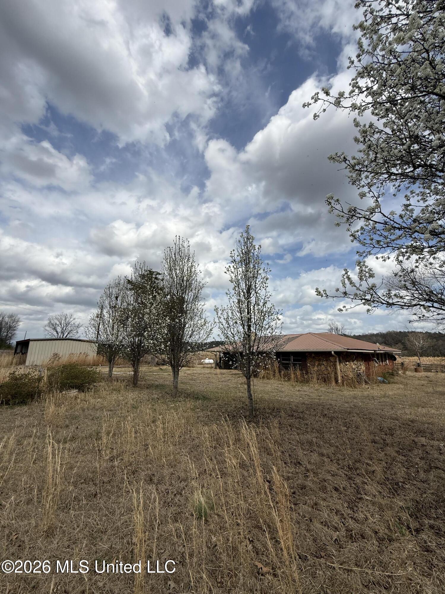 2384 Highway 51 Property Photo 2