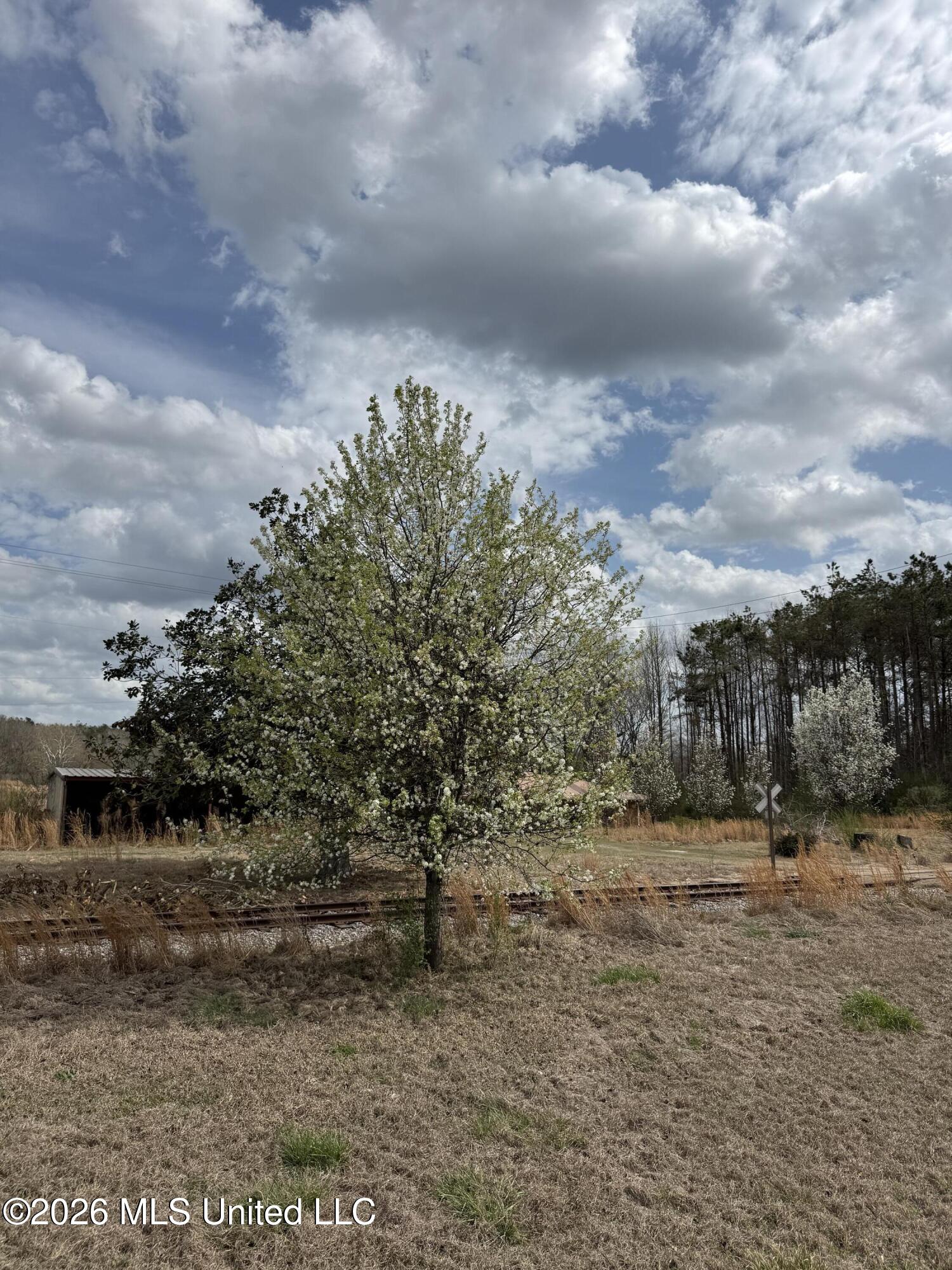 2384 Highway 51 Property Photo 3