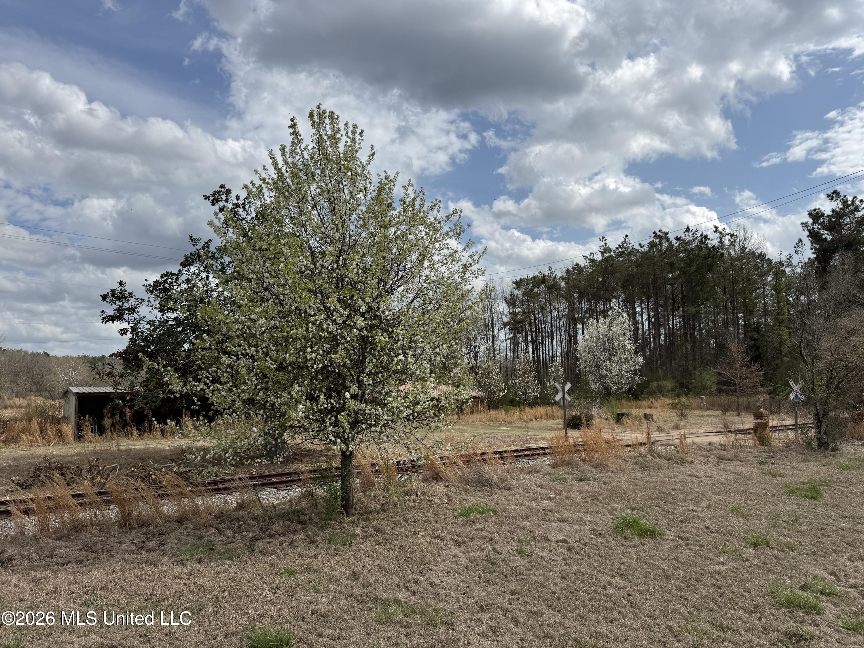 2384 Highway 51 Property Photo 4