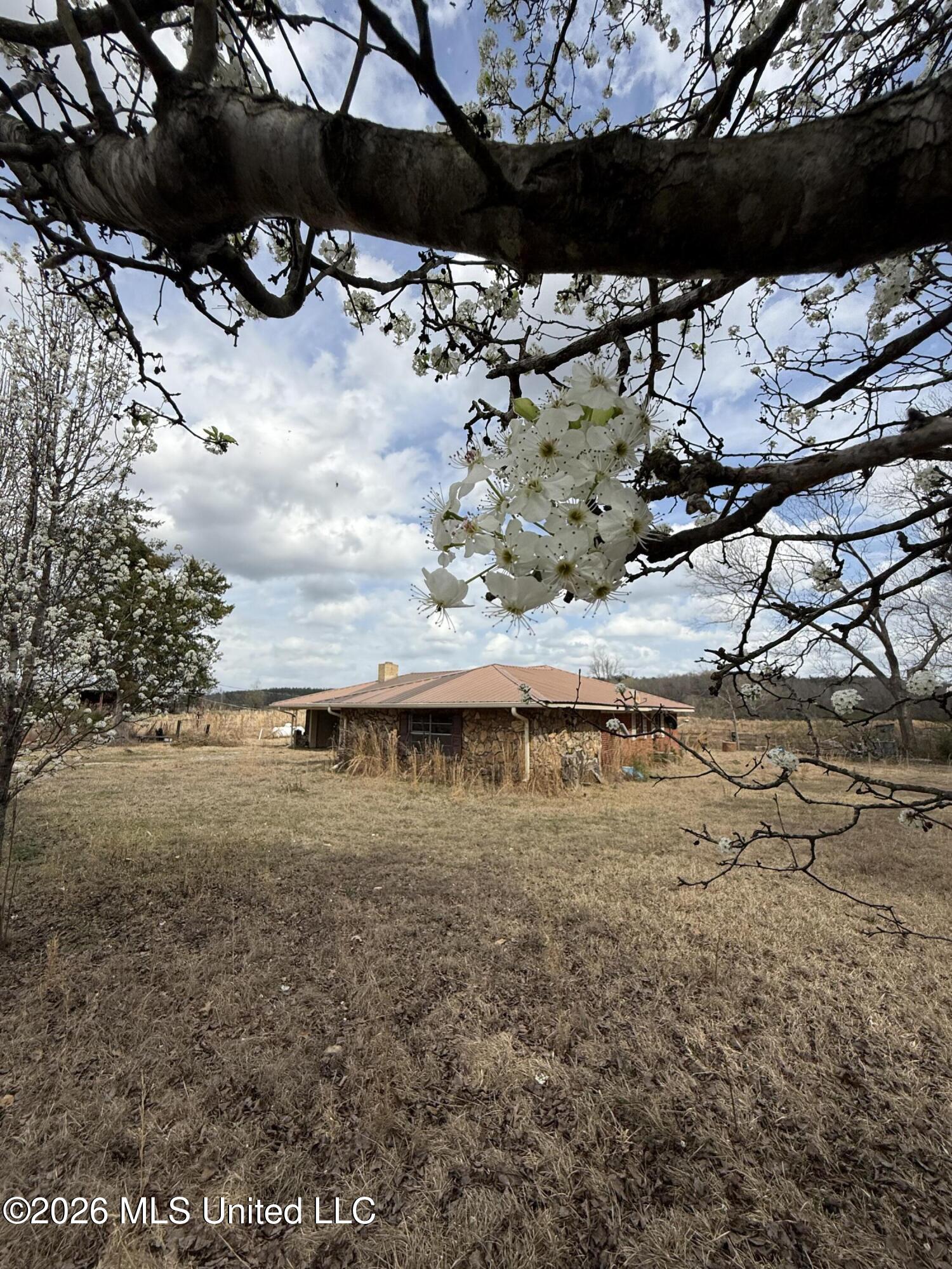 2384 Highway 51 Property Photo 8