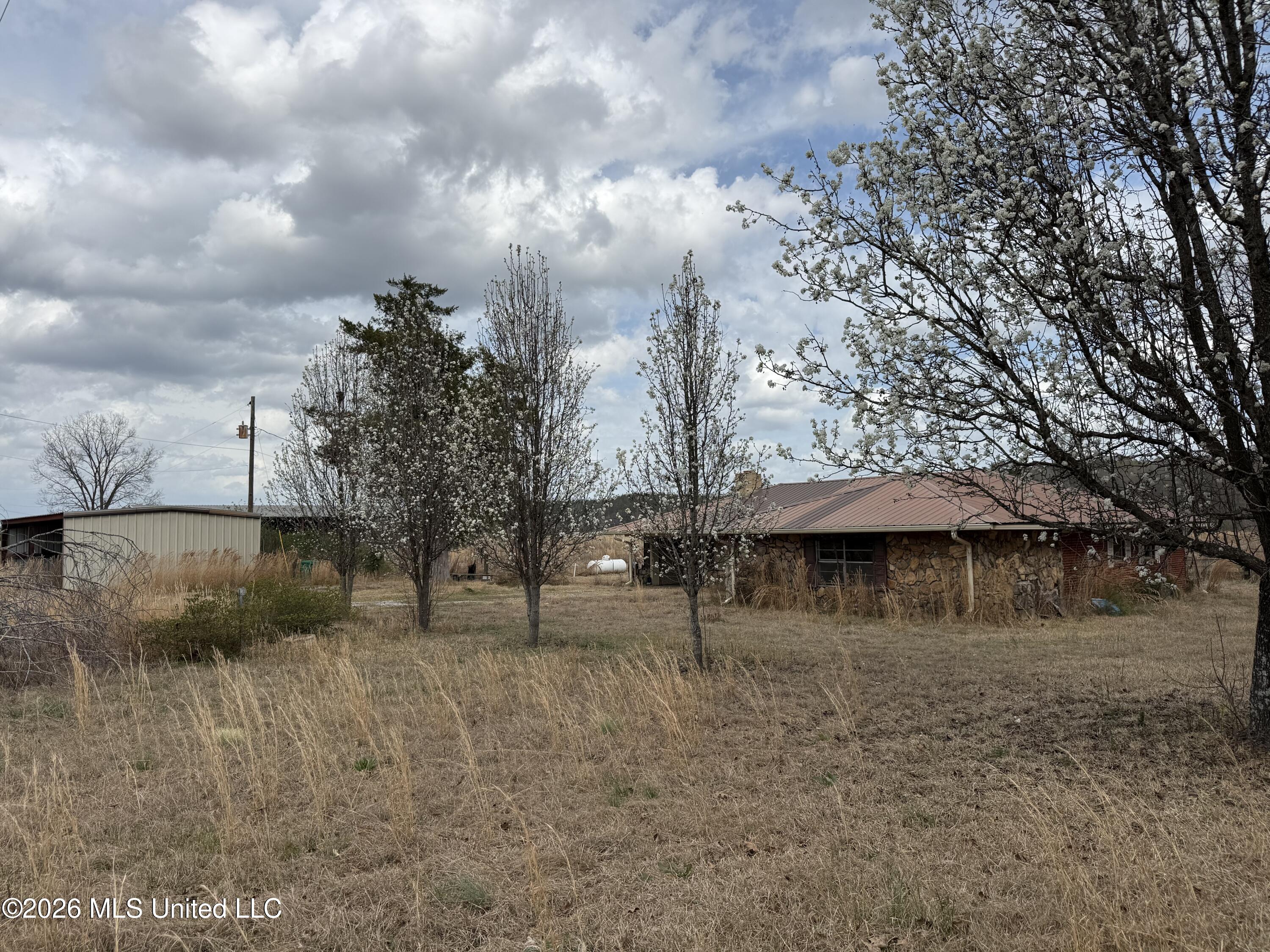 2384 Highway 51 Property Photo 9