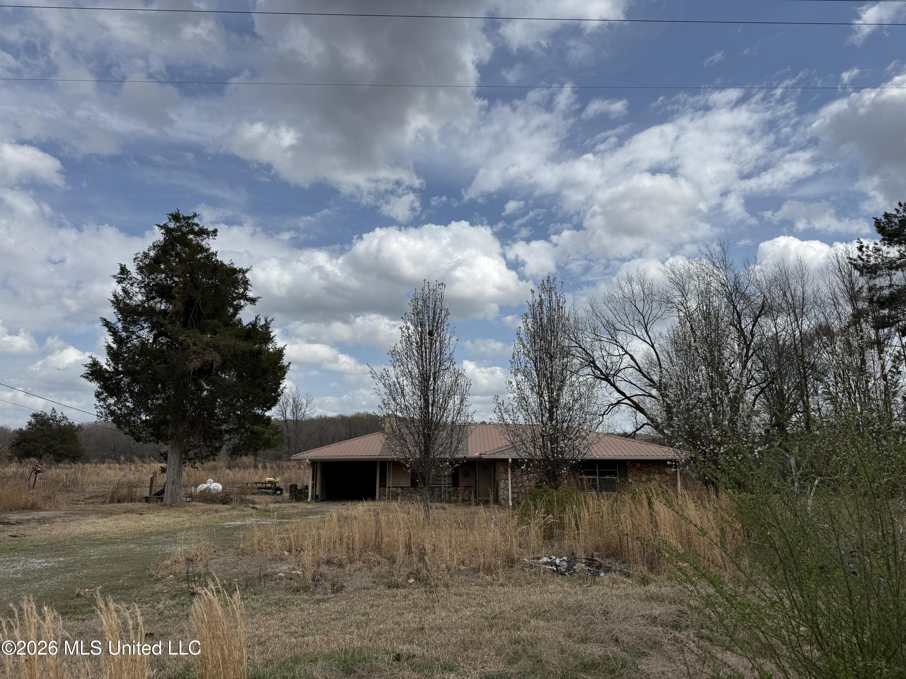 2384 Highway 51 Property Photo 10