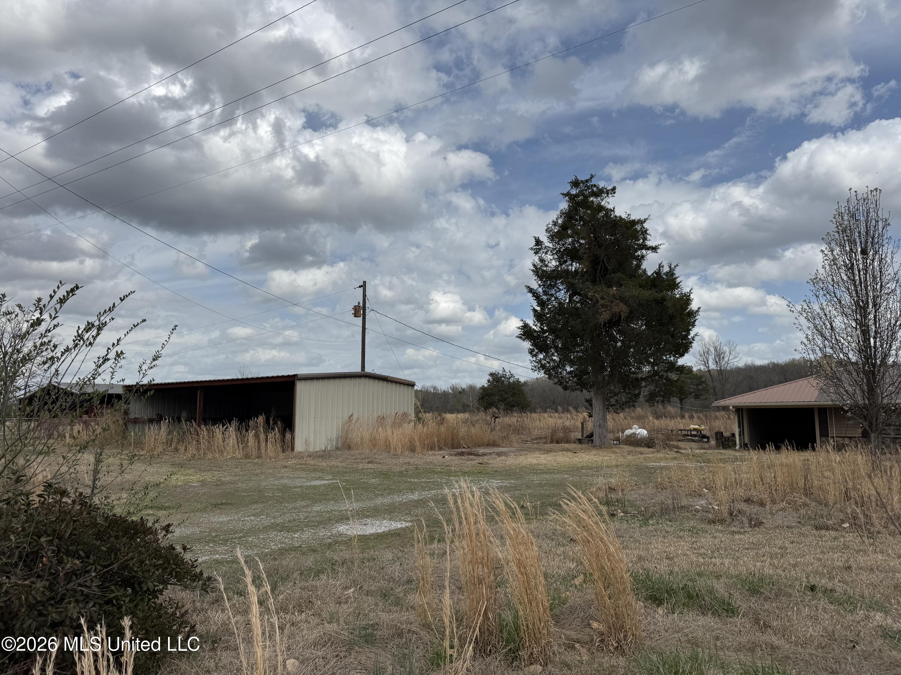 2384 Highway 51 Property Photo 11