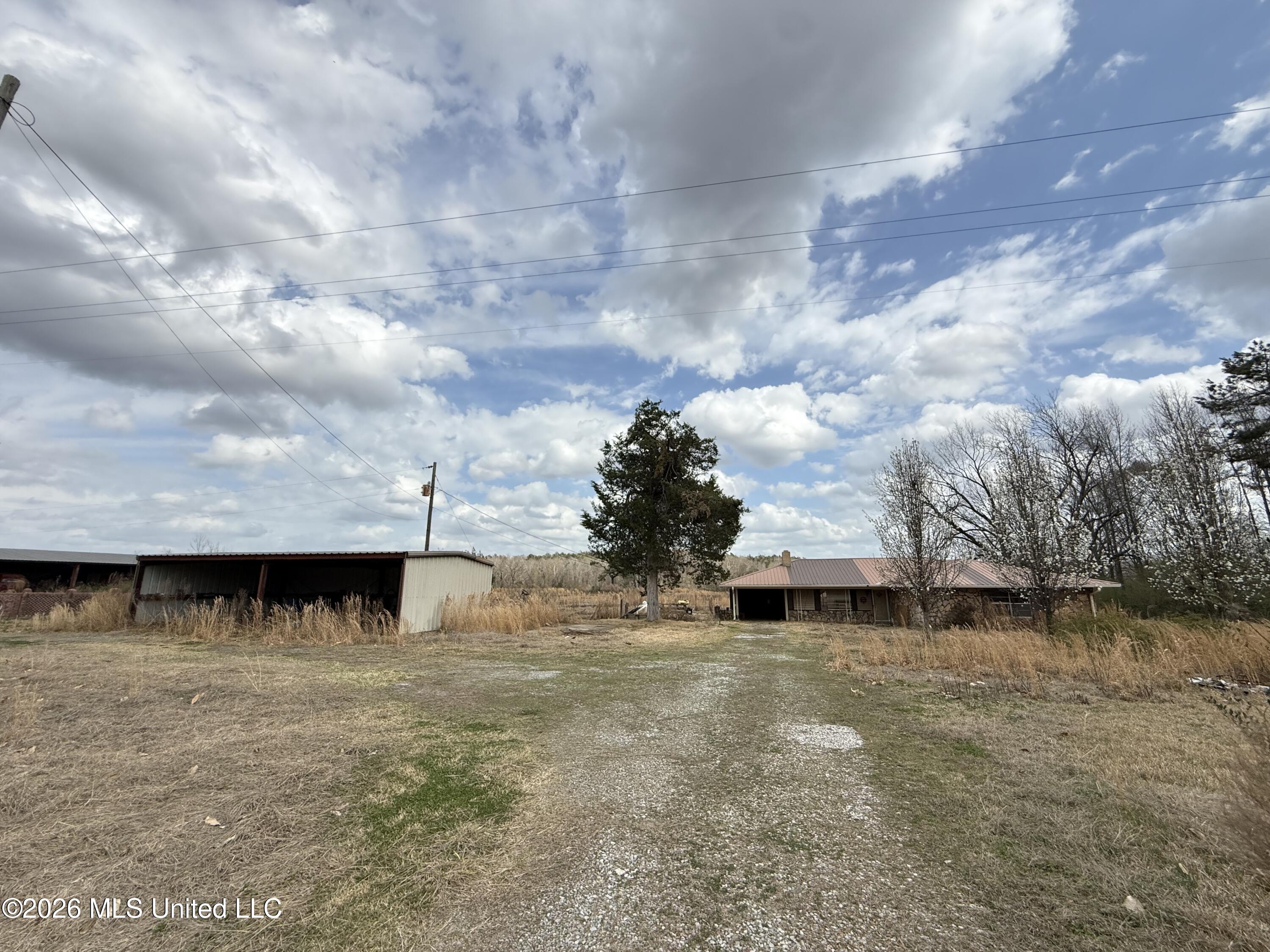 2384 Highway 51 Property Photo 12