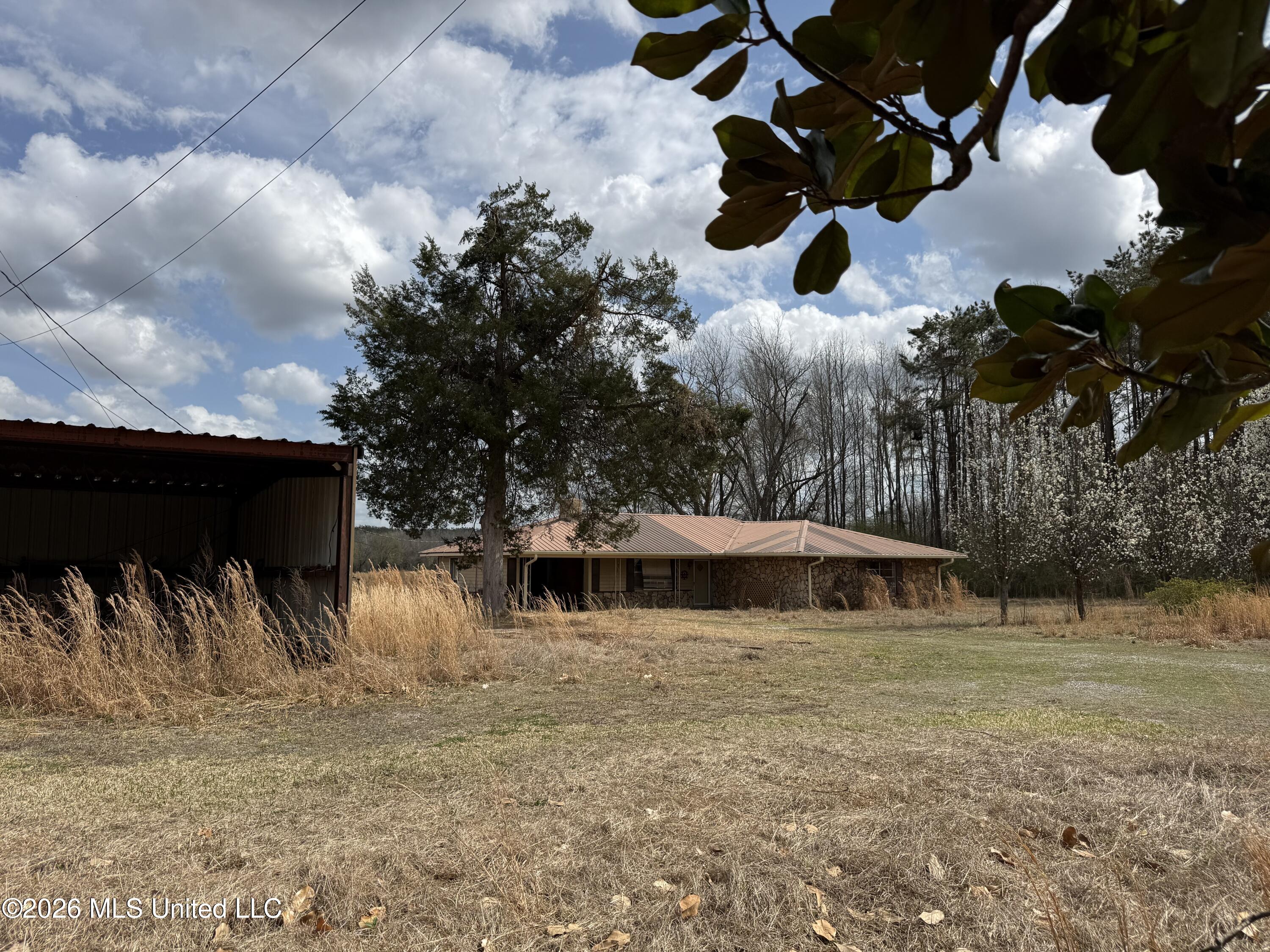 2384 Highway 51 Property Photo 13