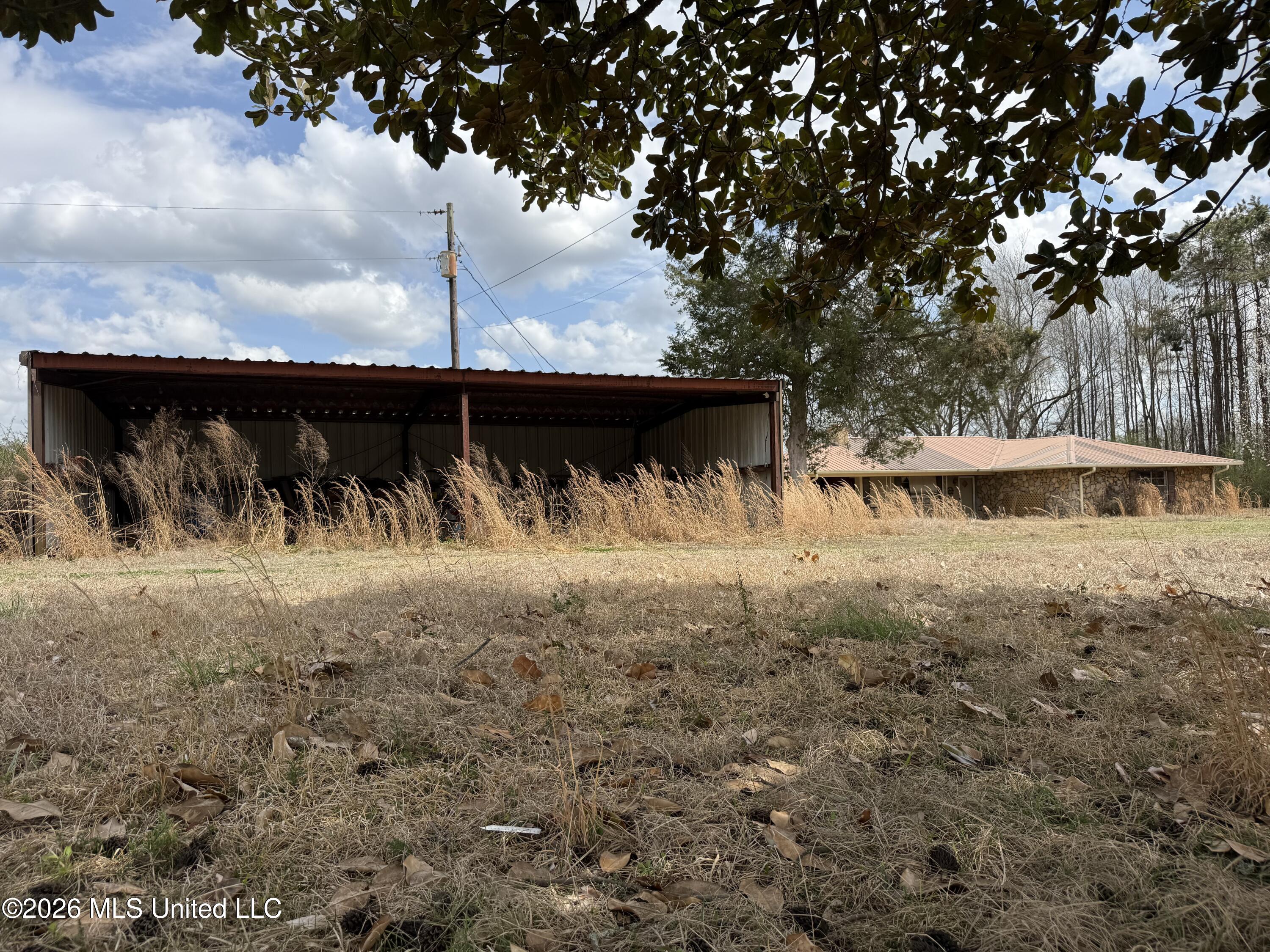 2384 Highway 51 Property Photo 14