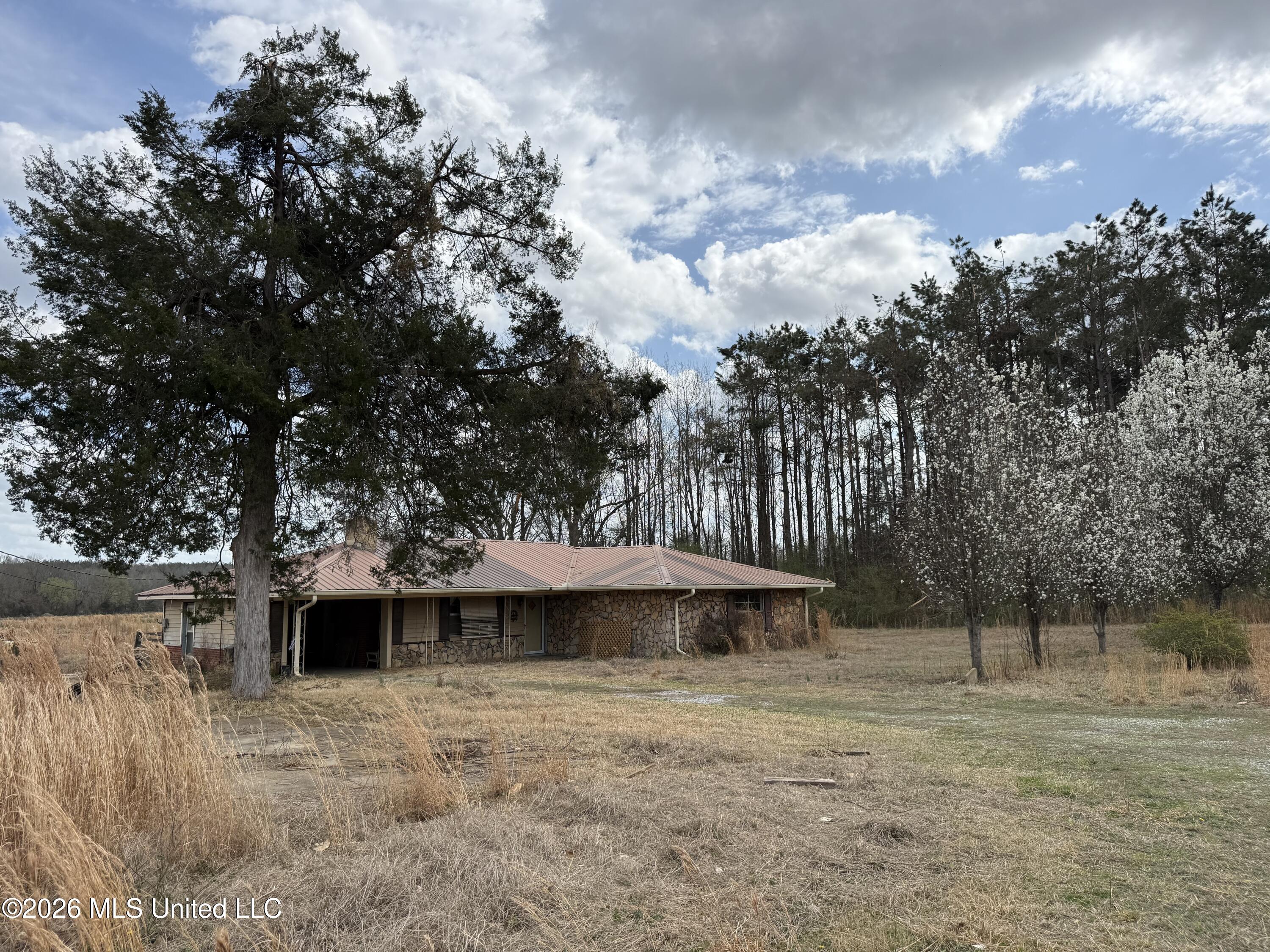 2384 Highway 51 Property Photo 16
