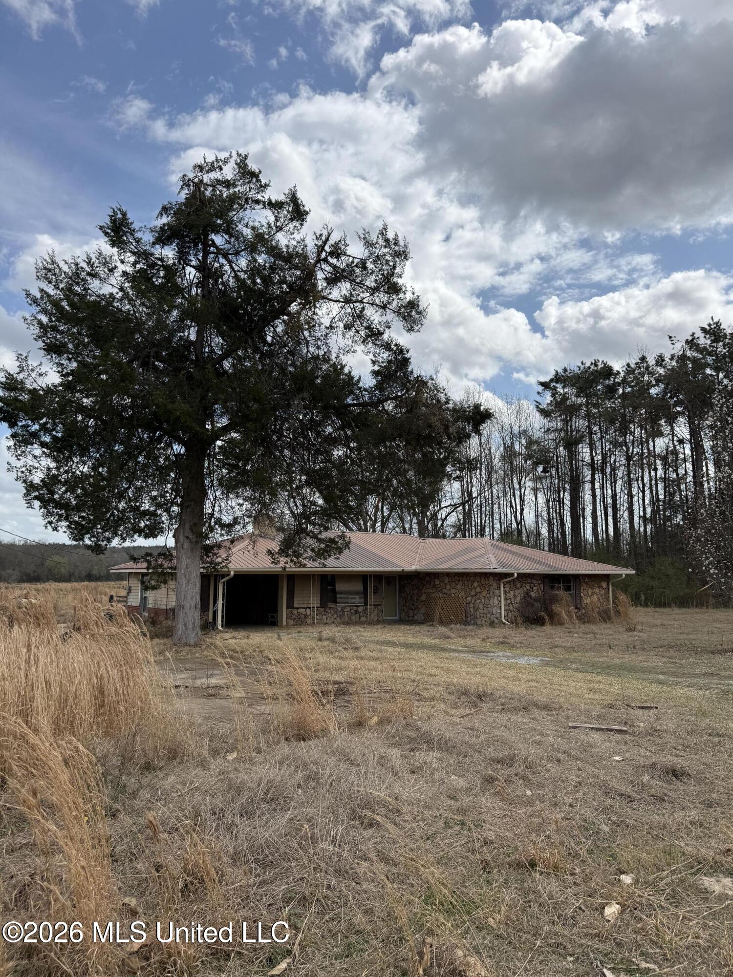 2384 Highway 51 Property Photo 17