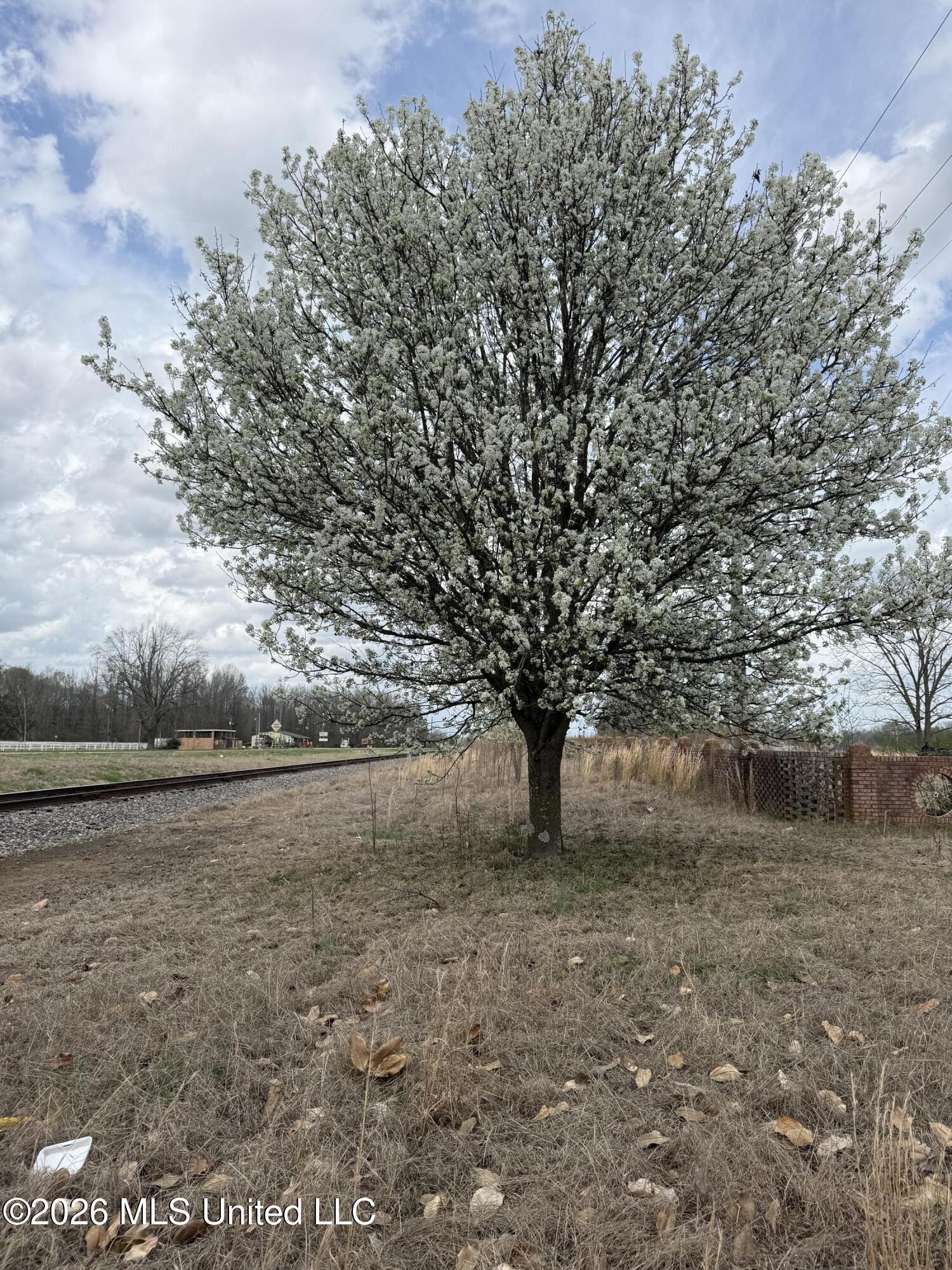 2384 Highway 51 Property Photo 19