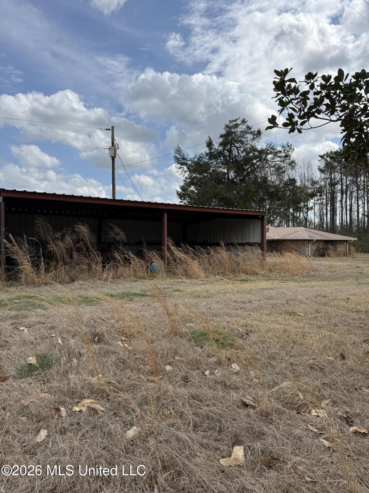 2384 Highway 51 Property Photo 21