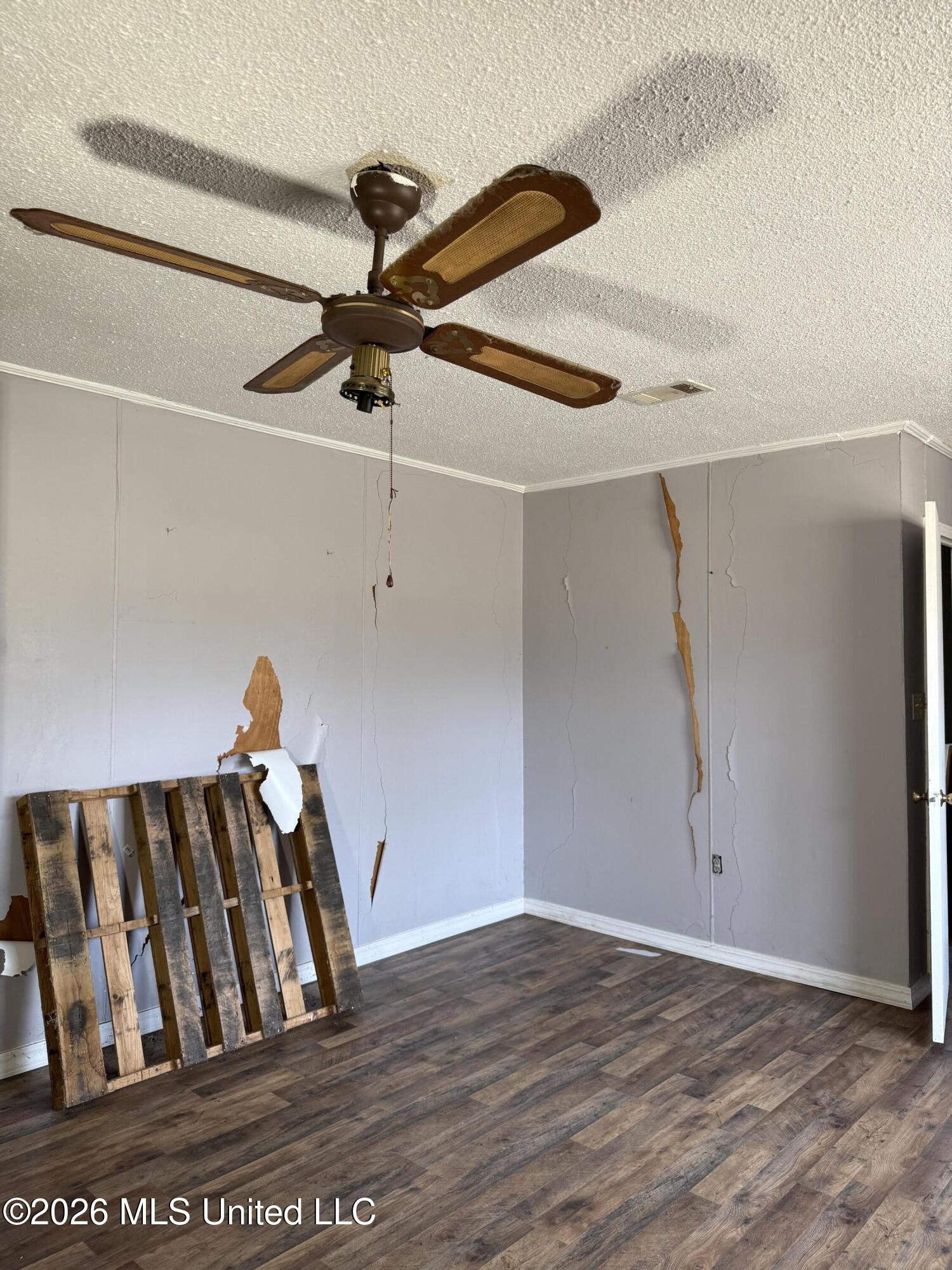 2384 Highway 51 Property Photo 39
