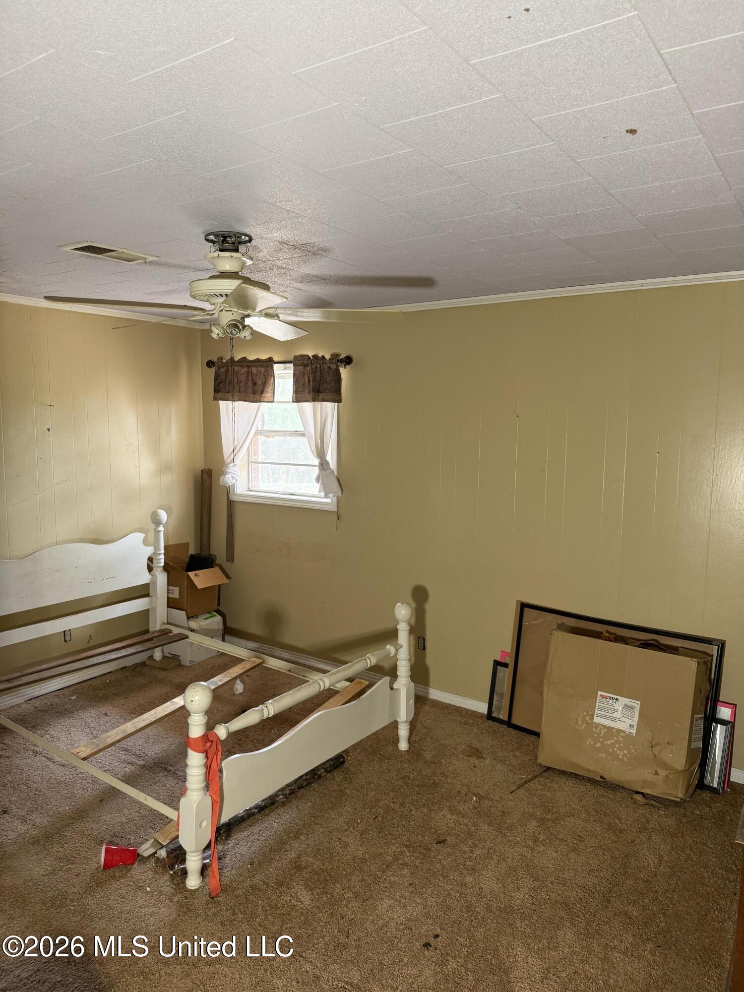 2384 Highway 51 Property Photo 41