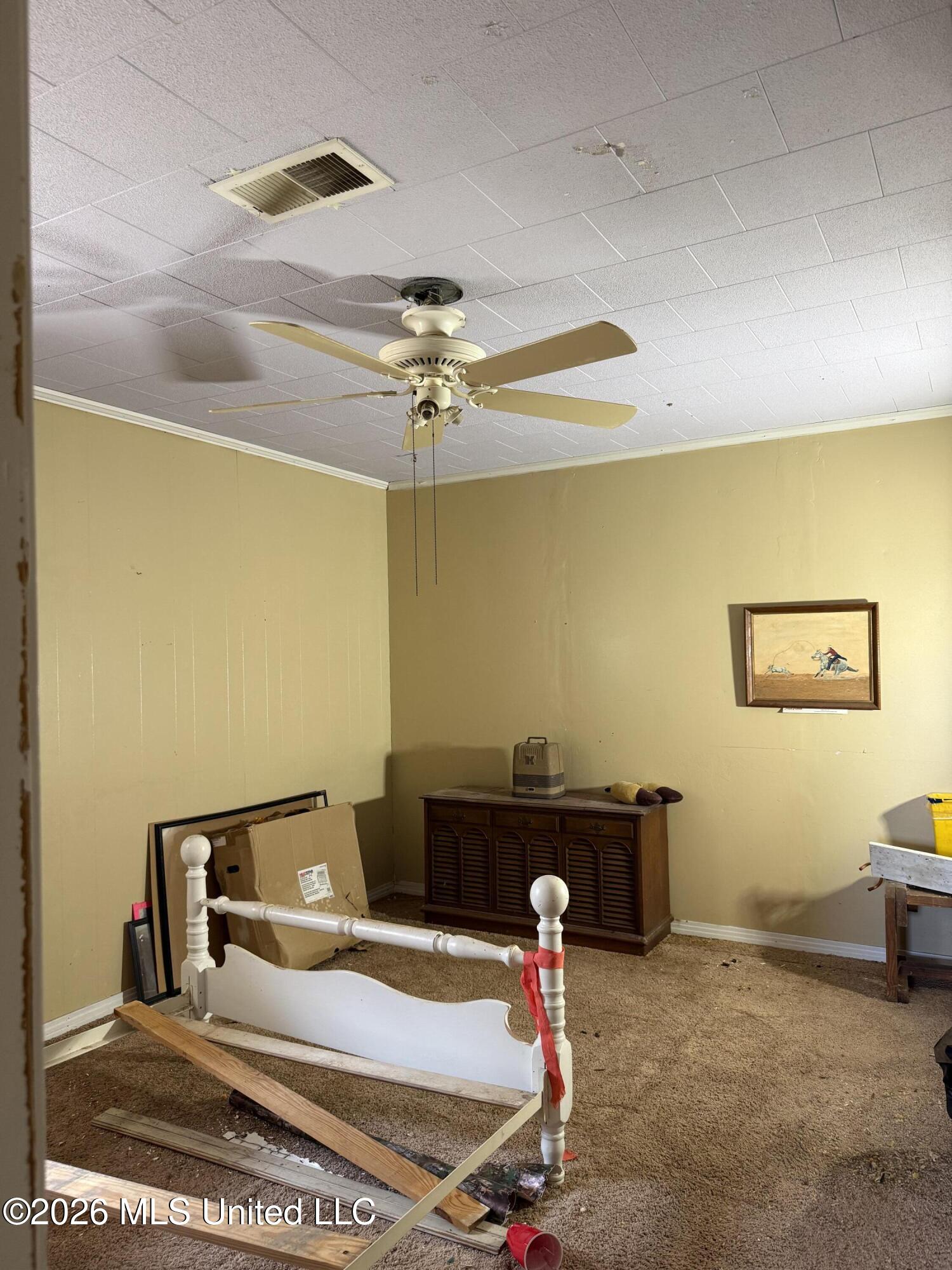 2384 Highway 51 Property Photo 43
