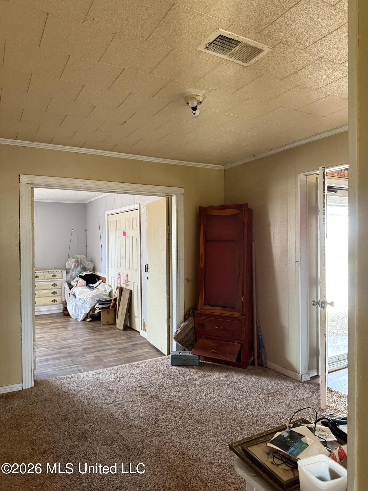2384 Highway 51 Property Photo 44