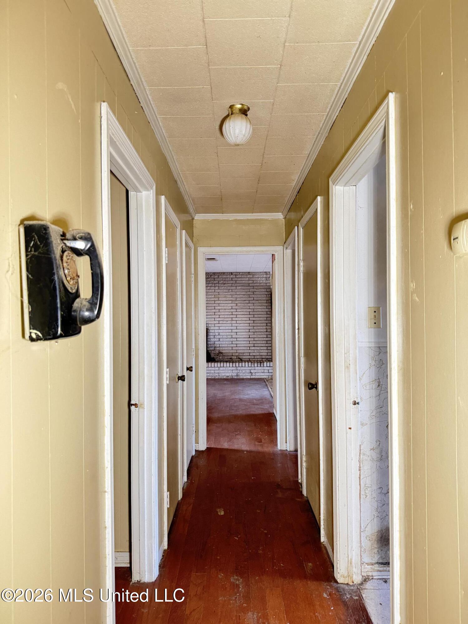 2384 Highway 51 Property Photo 45