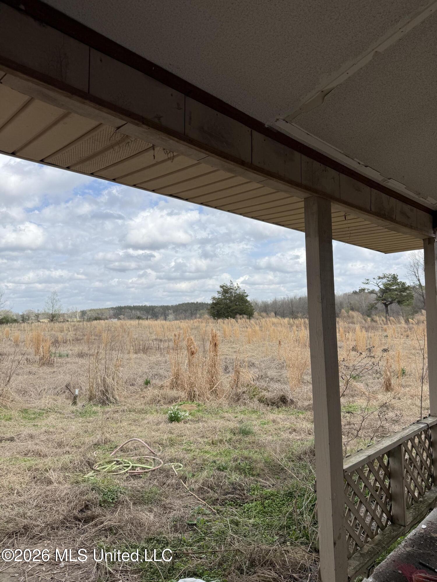 2384 Highway 51 Property Photo 62