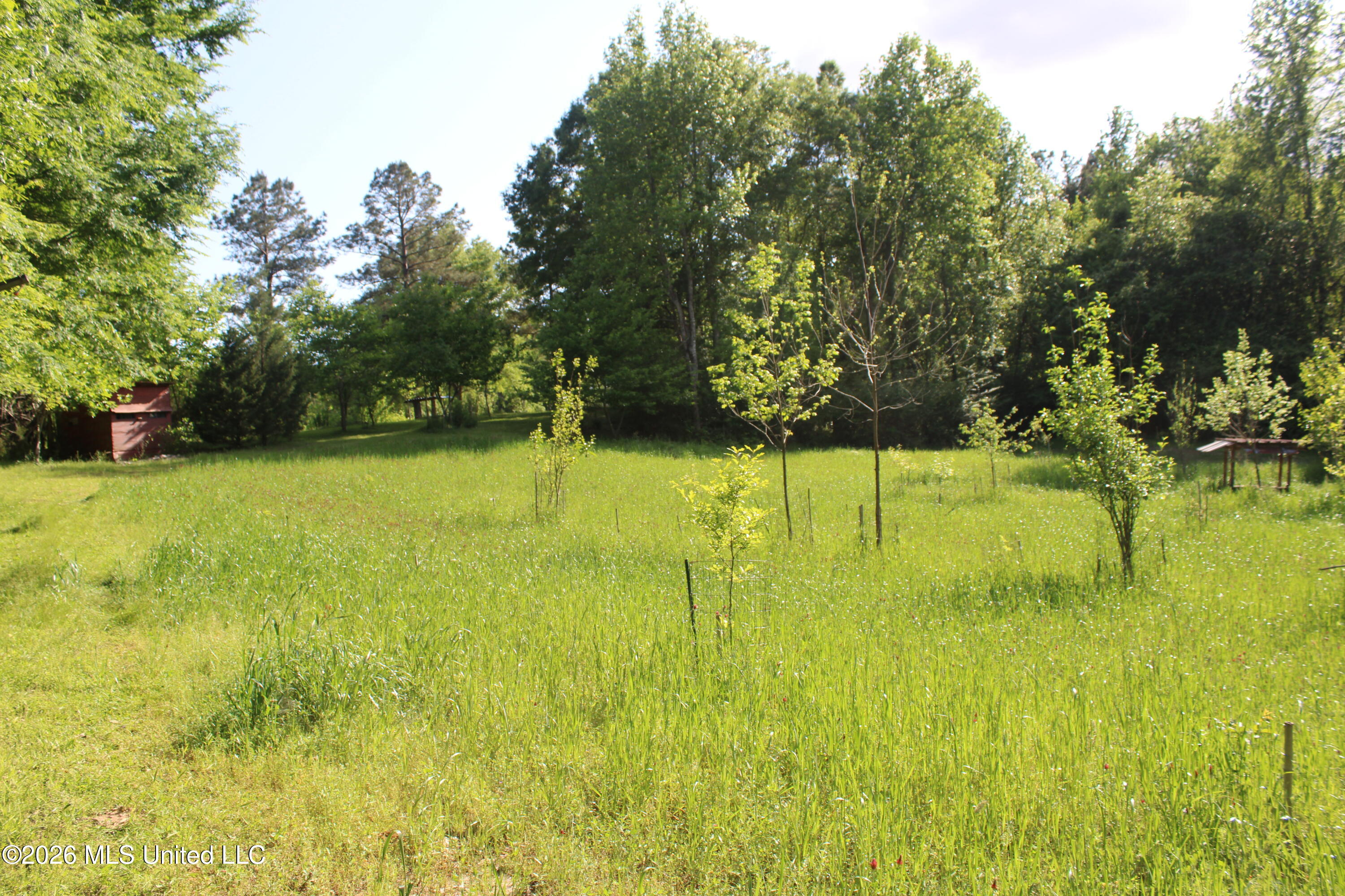 3085 Beauregard Road Property Photo 19