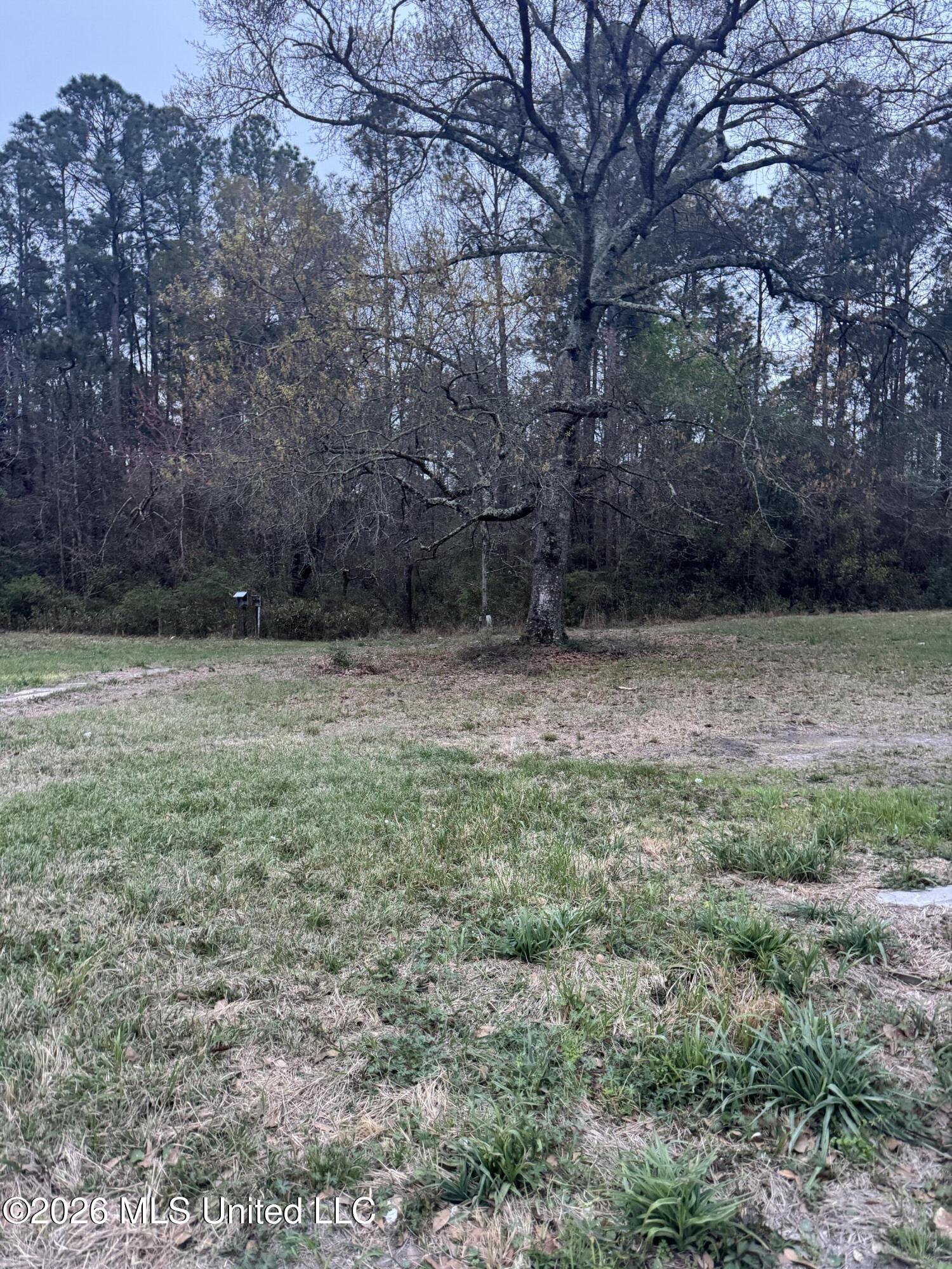 Deidra Court Property Photo 1
