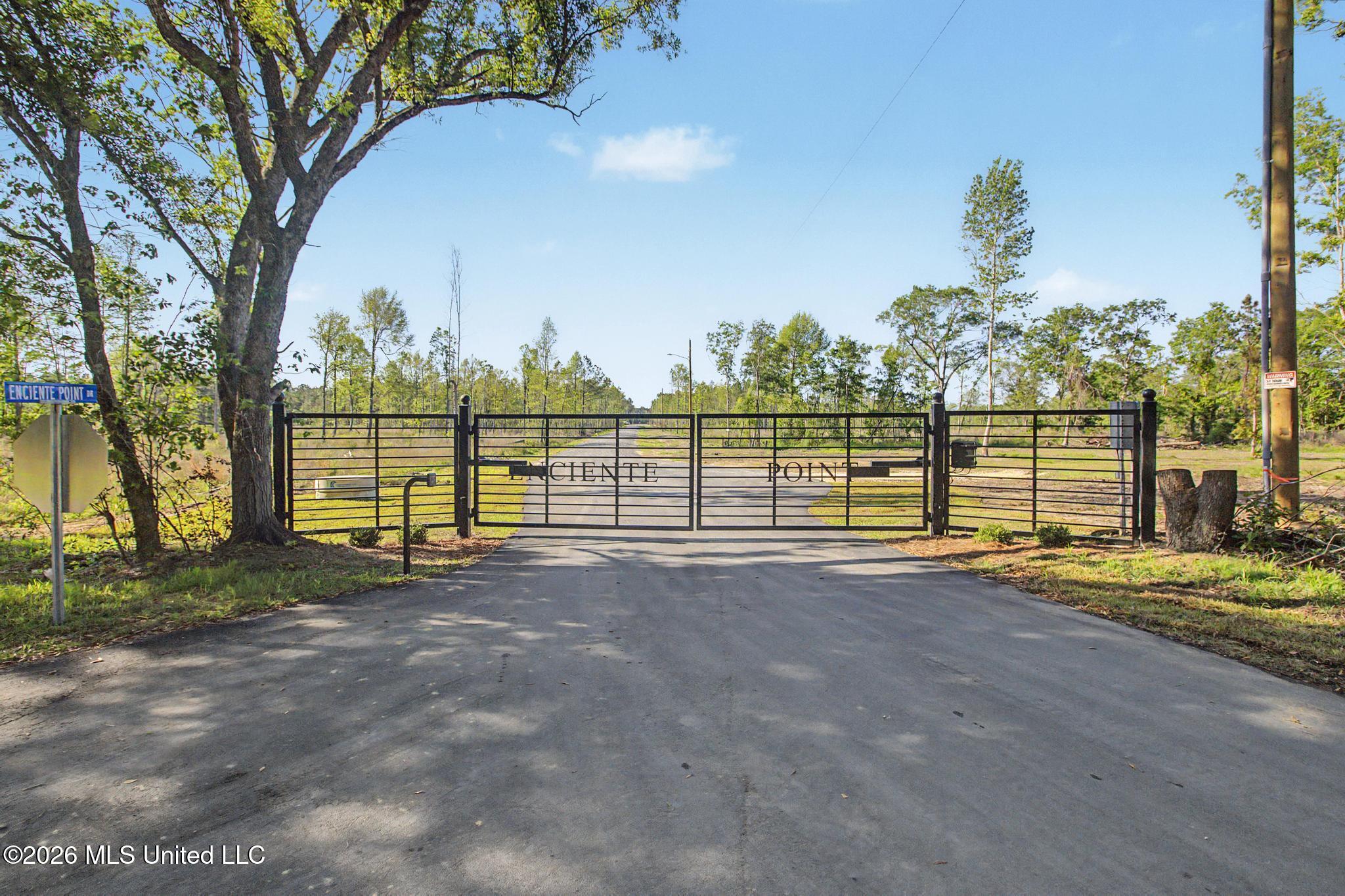 13045 Enciente Point Drive Property Photo 1