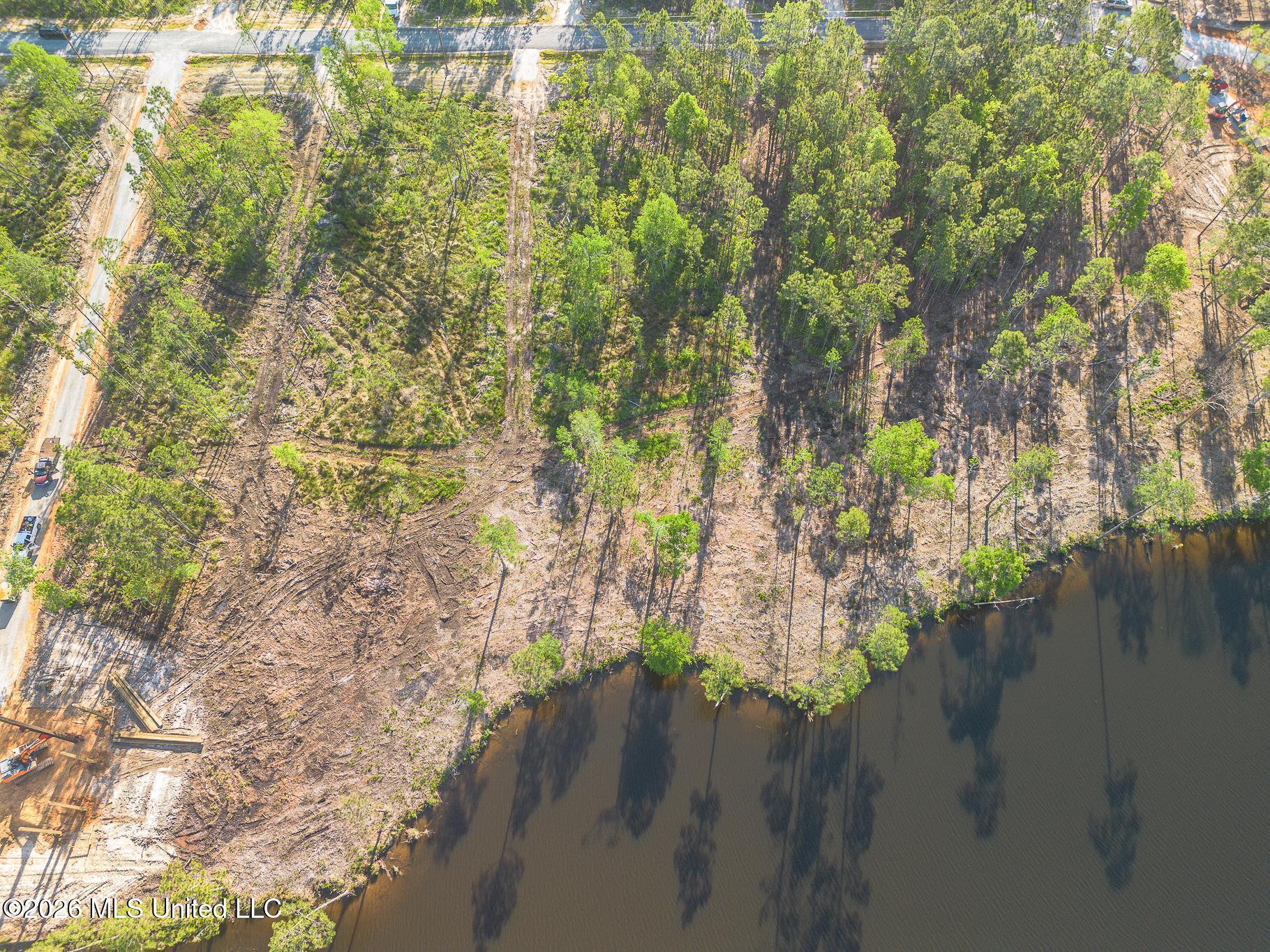 13045 Enciente Point Drive Property Photo 13