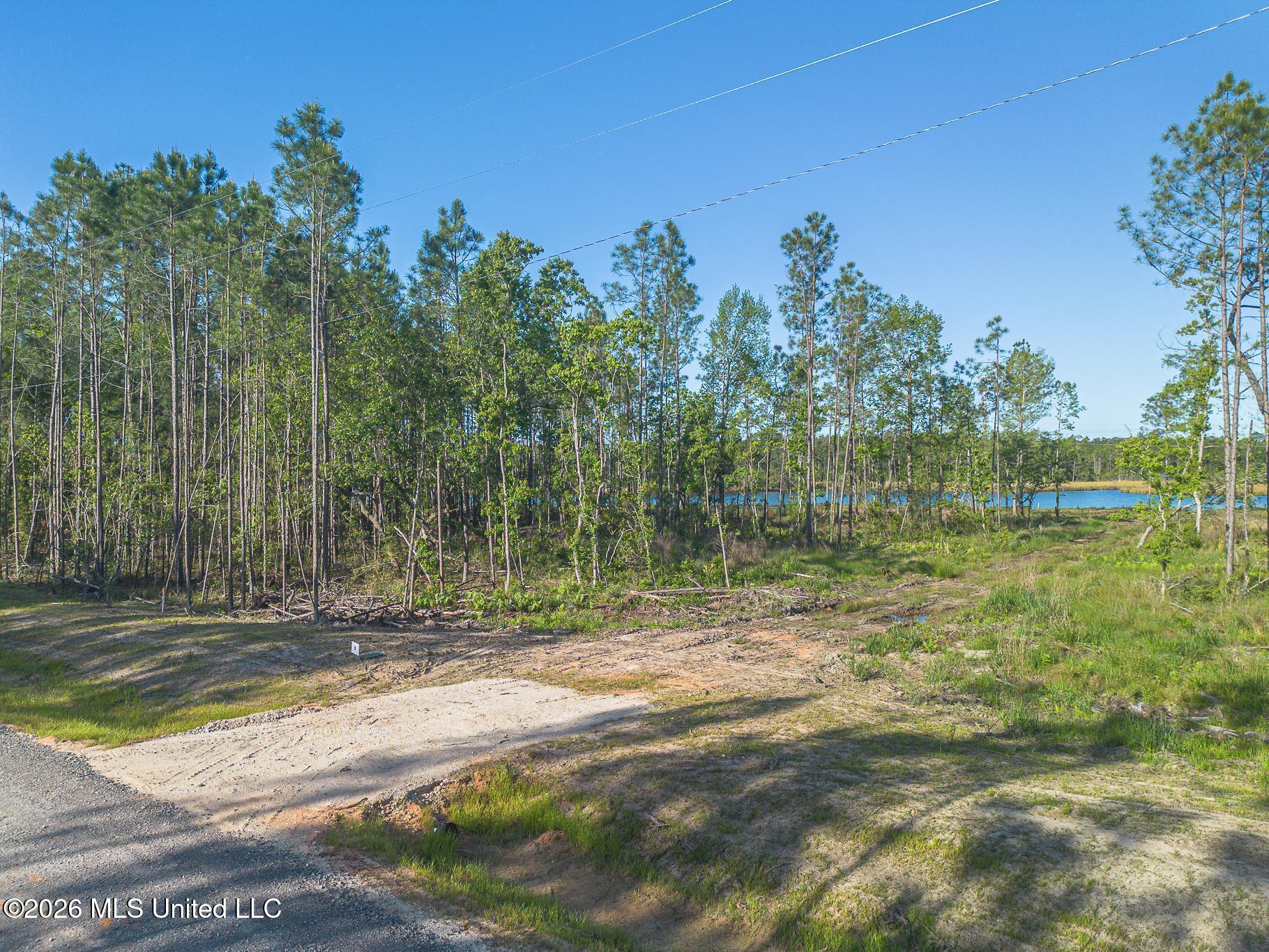 13045 Enciente Point Drive Property Photo 17