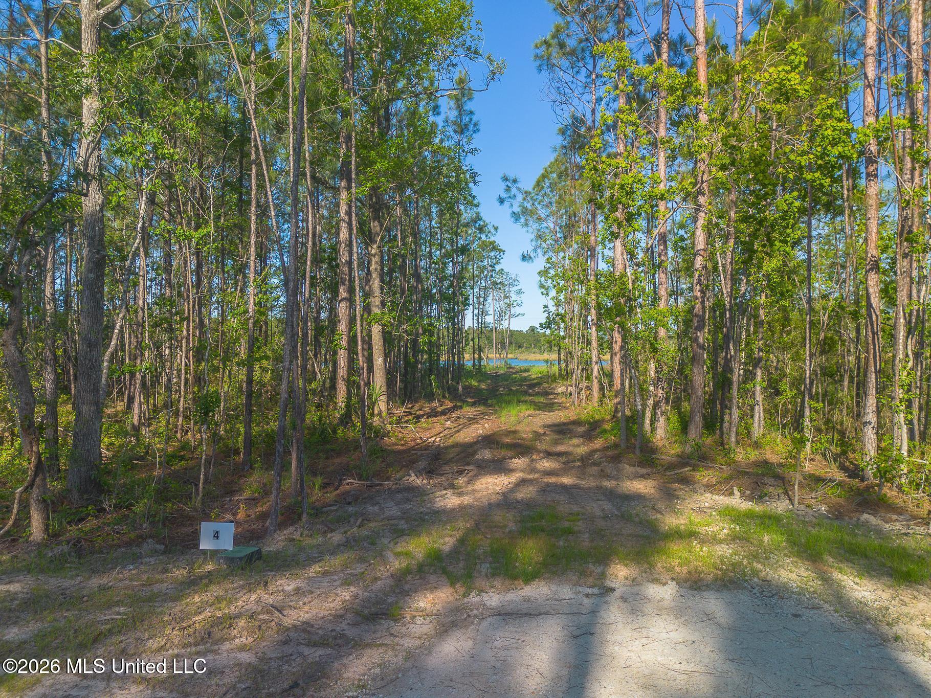 13045 Enciente Point Drive Property Photo 18