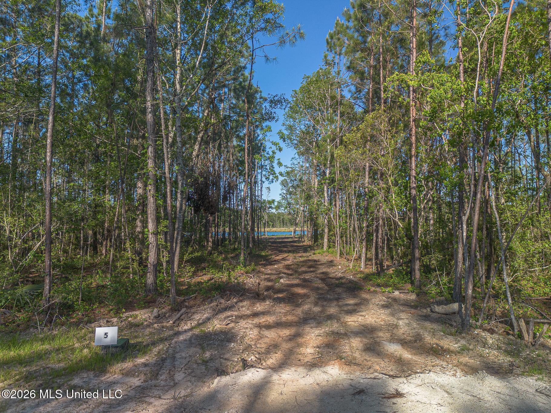 13045 Enciente Point Drive Property Photo 19