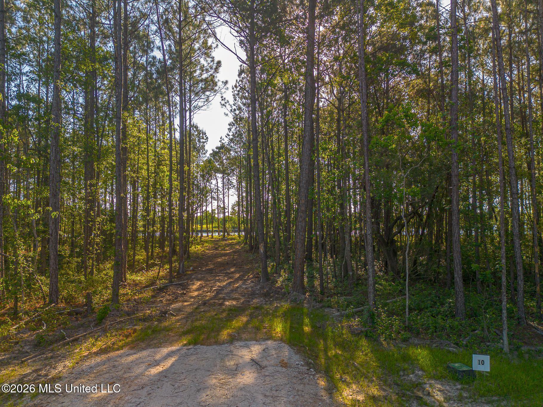 13045 Enciente Point Drive Property Photo 20