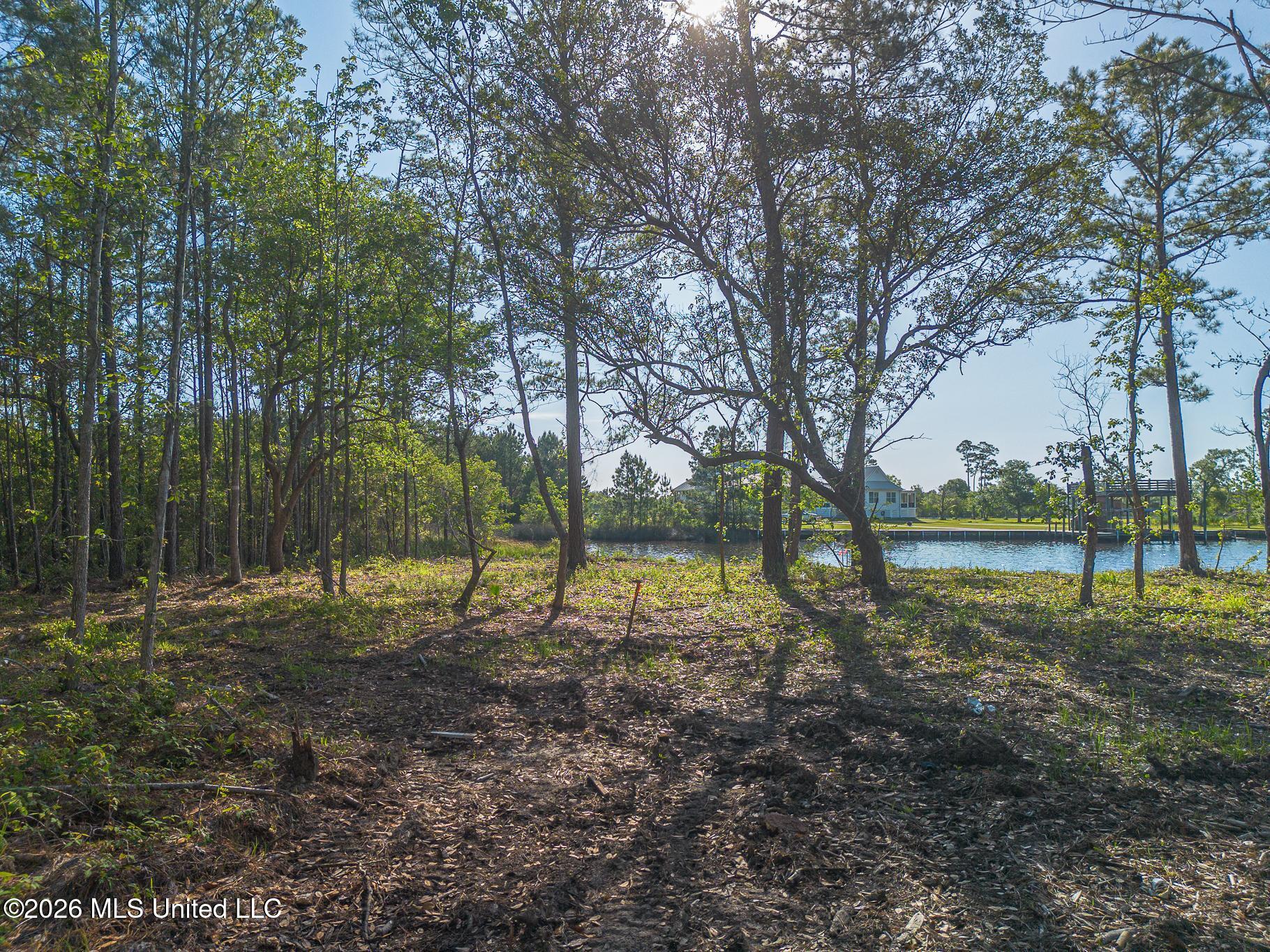 13045 Enciente Point Drive Property Photo 26