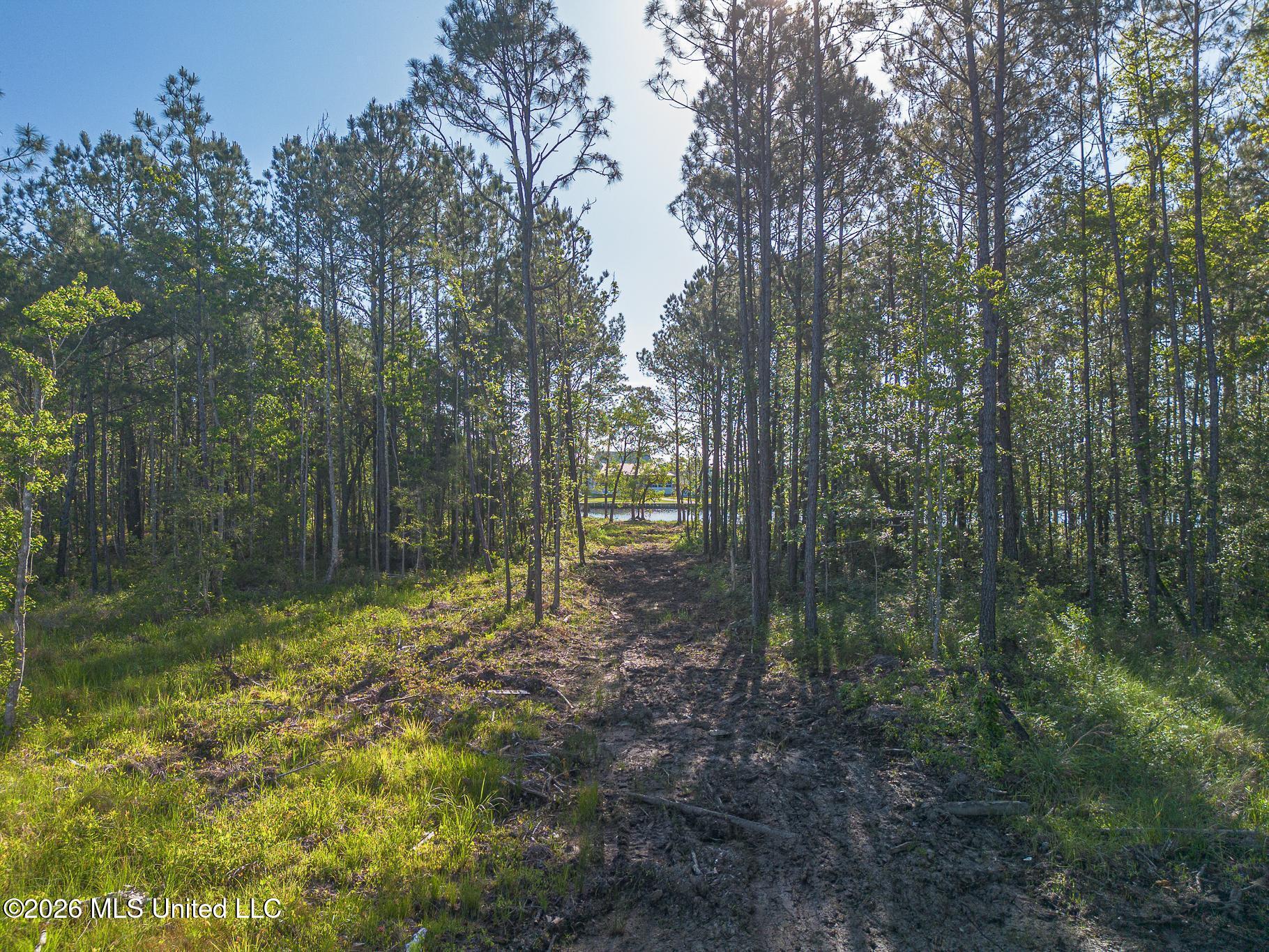 13045 Enciente Point Drive Property Photo 27