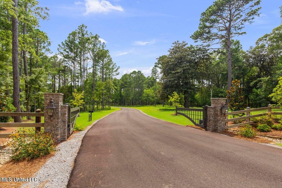 Springwood Trail Property Photo 6
