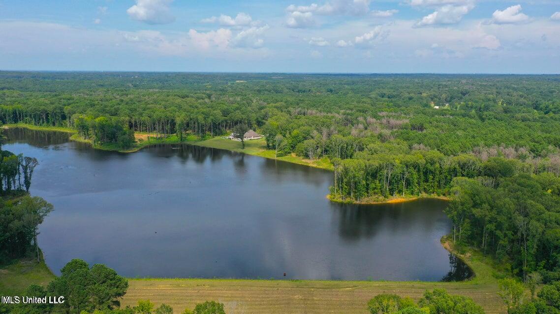 Springwood Trail Property Photo 8
