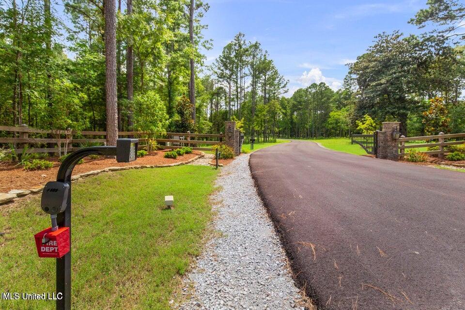 Springwood Trail Property Photo 15
