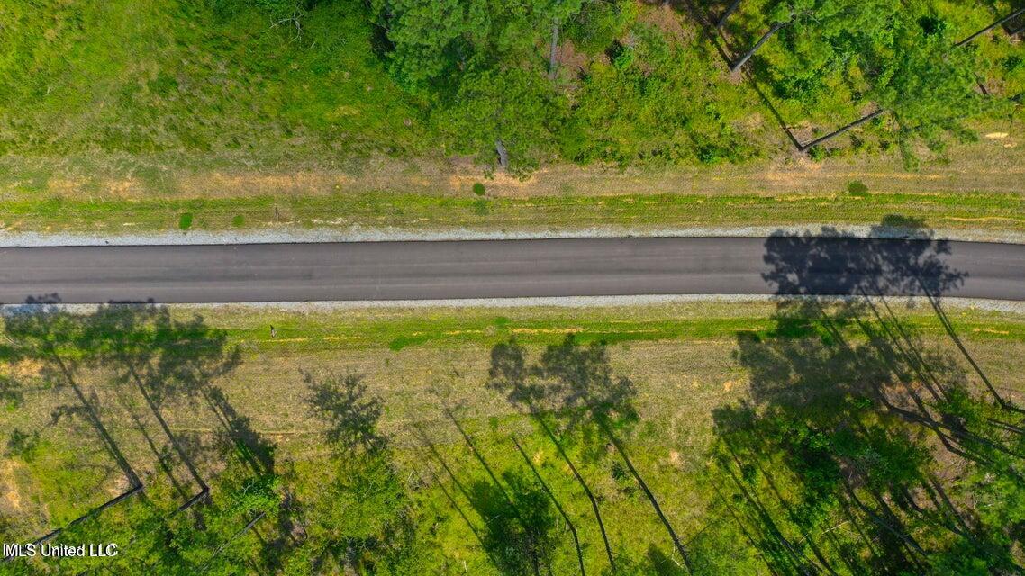 Springwood Trail Property Photo 22