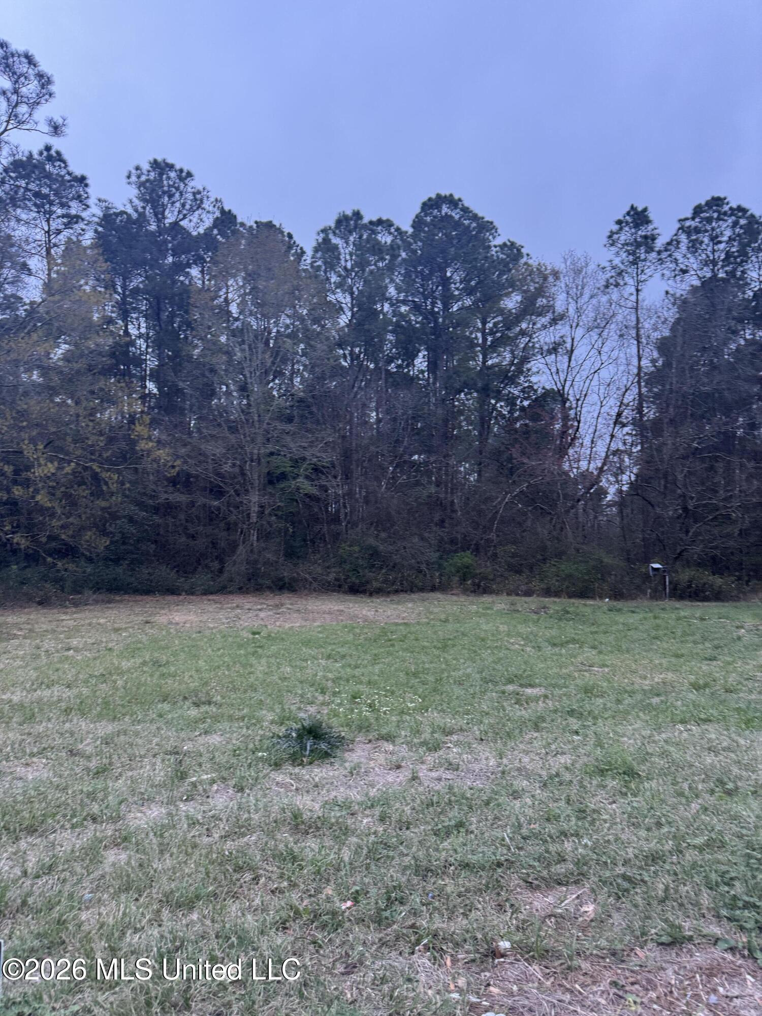 Deidra Court Property Photo 1