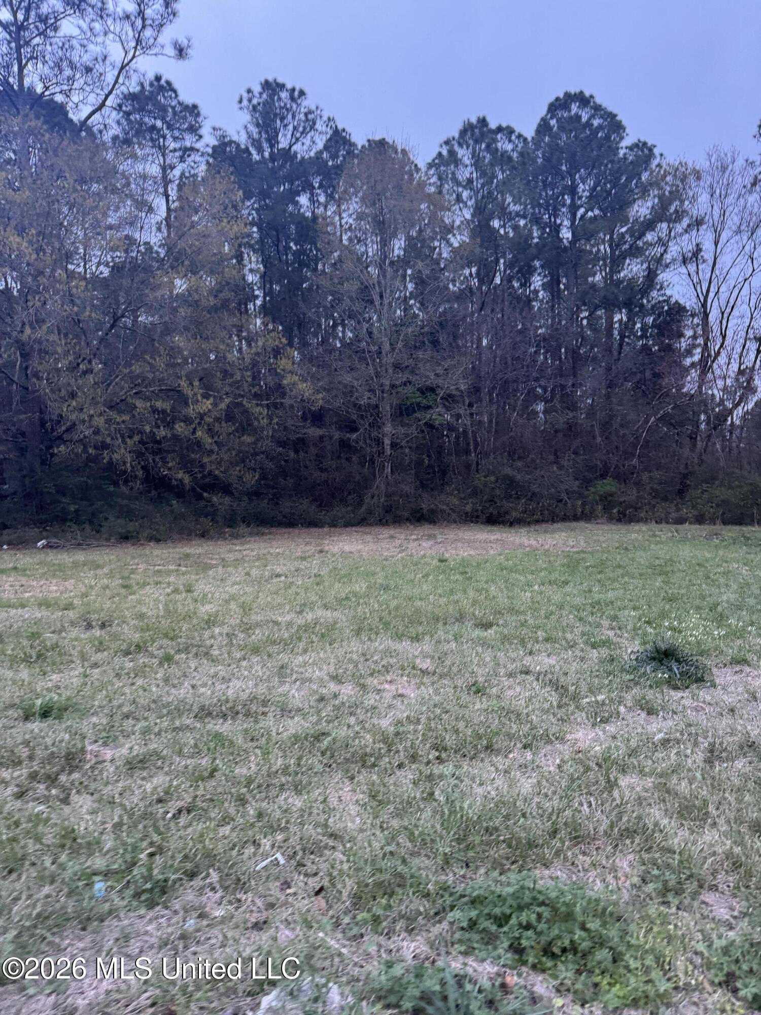 Deidra Court Property Photo 2