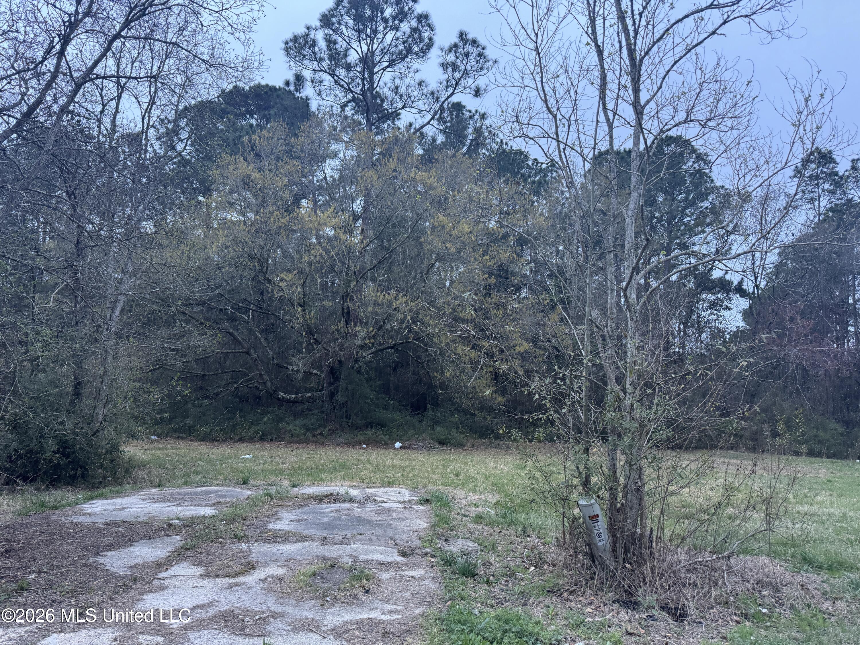 Deidra Court Property Photo 1