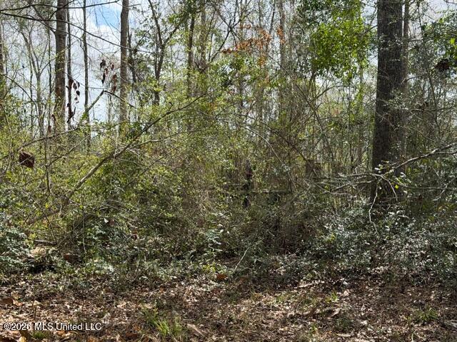 W Hwy 26 Property Photo 20