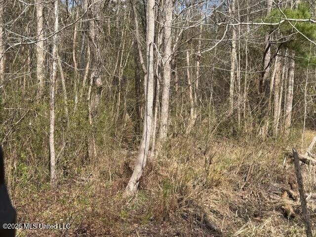 W Hwy 26 Property Photo 21