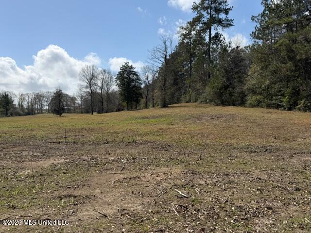 W Hwy 26 Property Photo 39