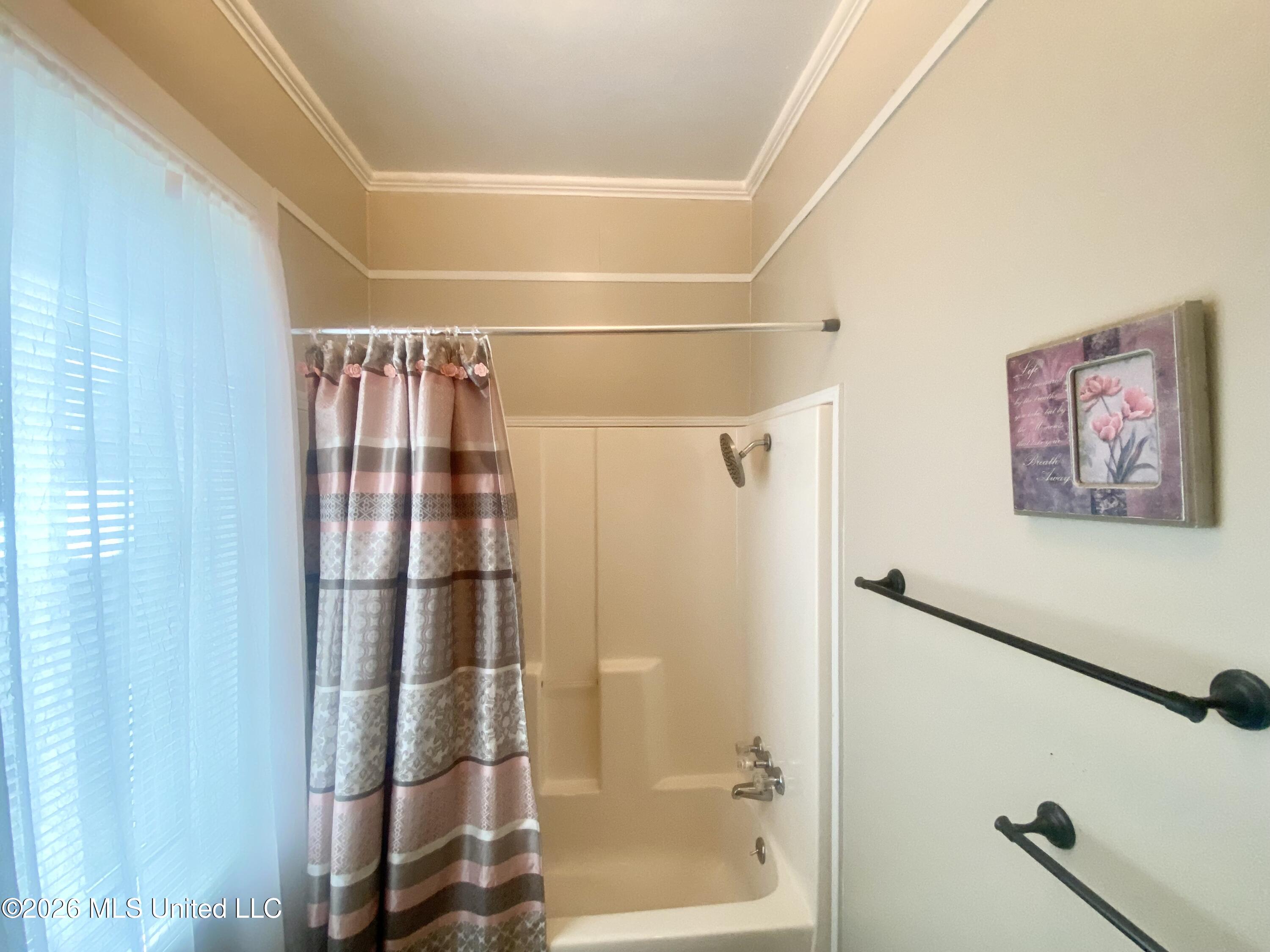 106 Ainsworth Street Property Photo 43