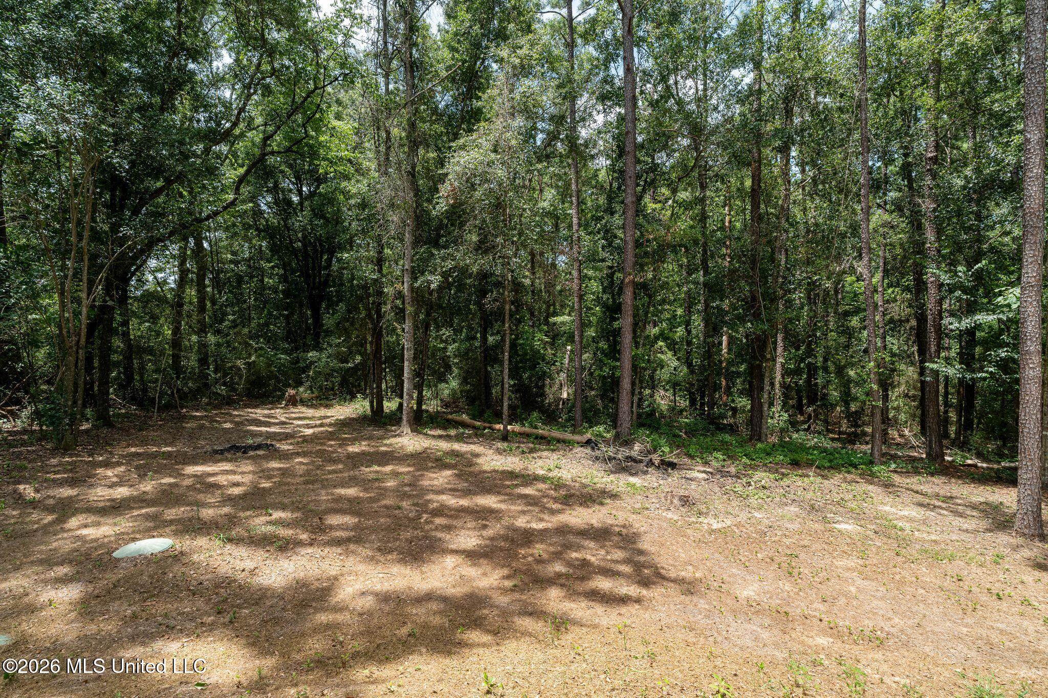 2461 Rocky Branch Road Property Photo 13