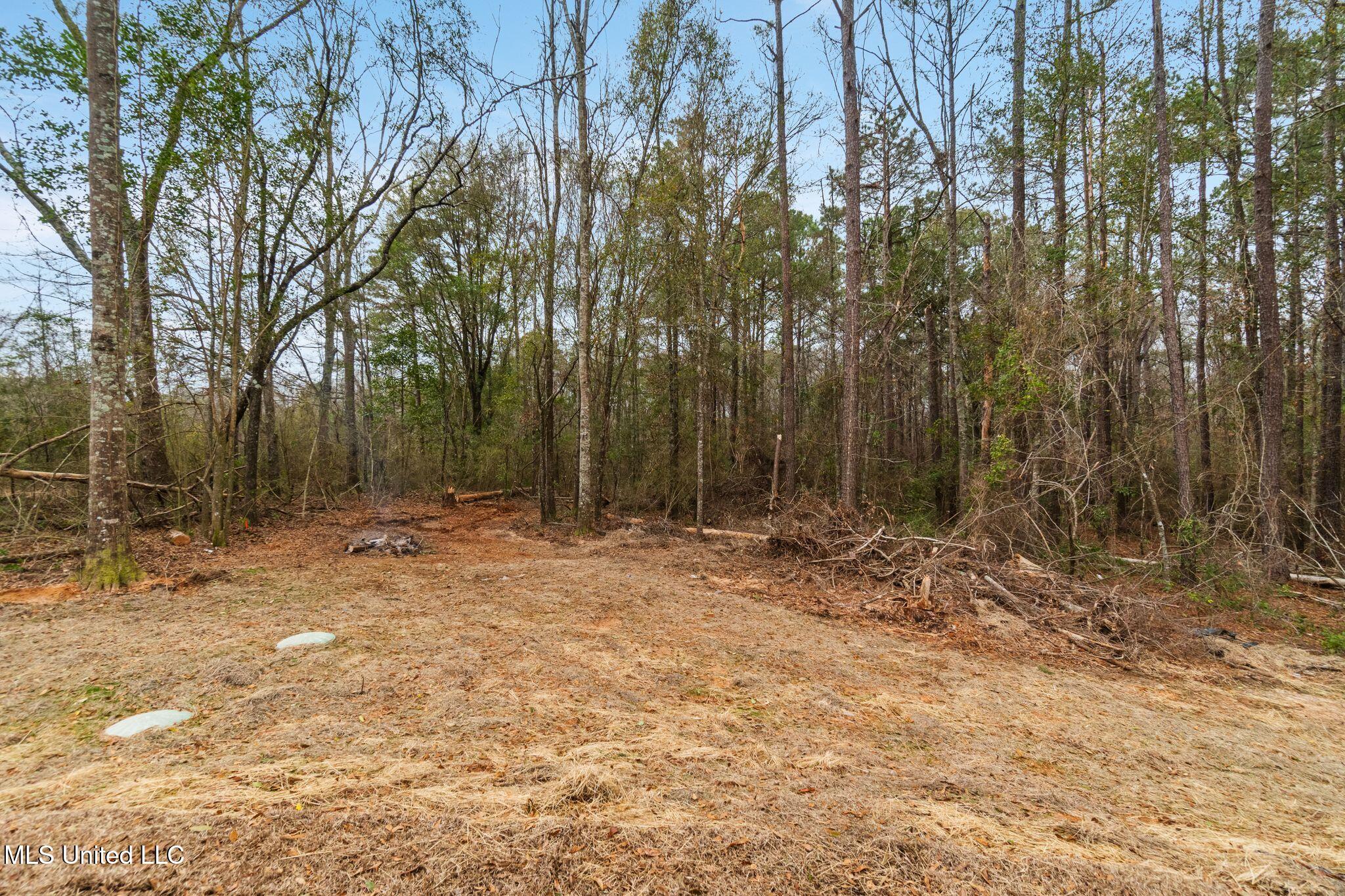 2461 Rocky Branch Road Property Photo 37