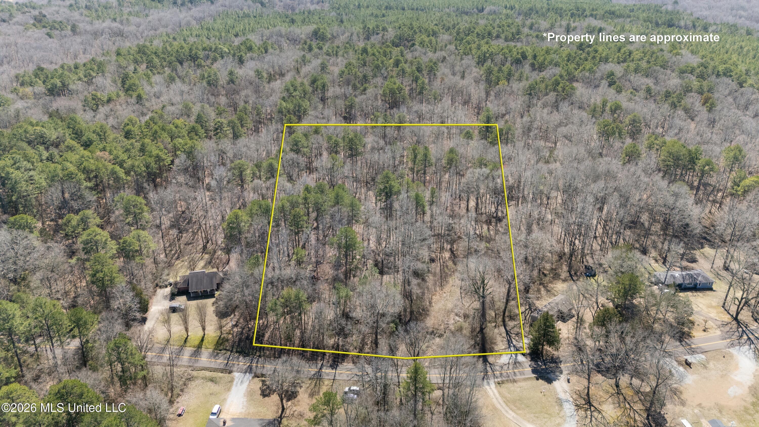 62 County Road 198 Property Photo 4