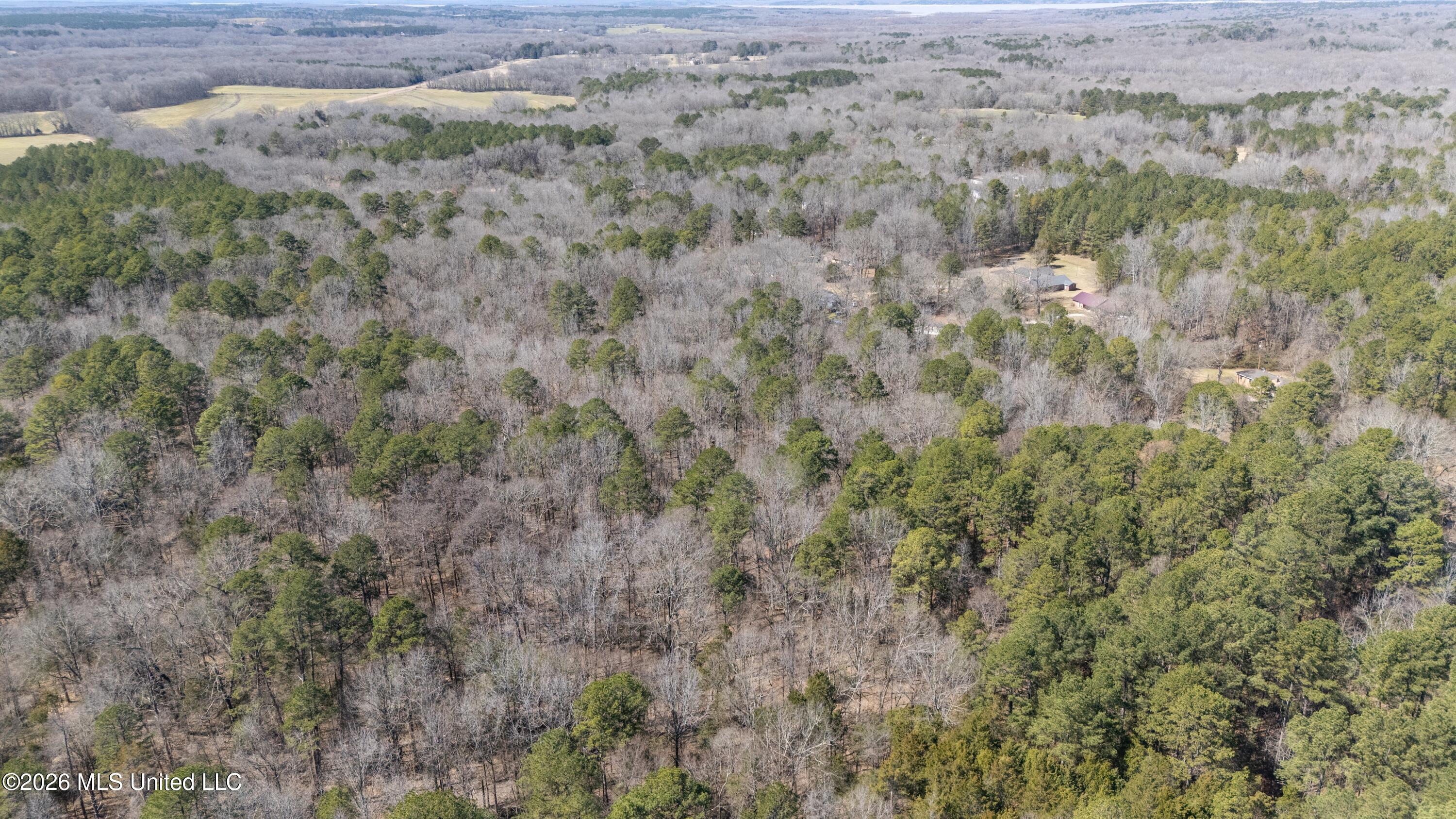 62 County Road 198 Property Photo 6