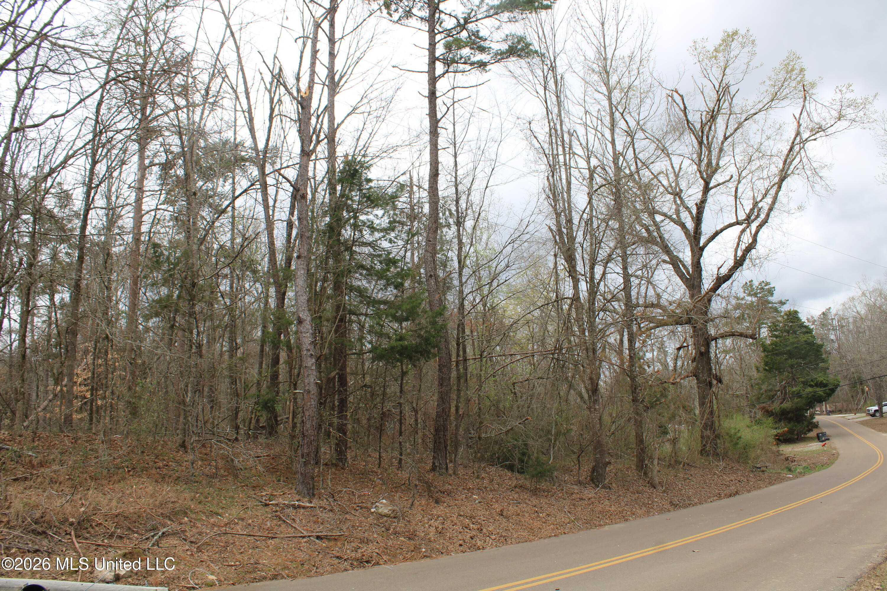 62 County Road 198 Property Photo 14