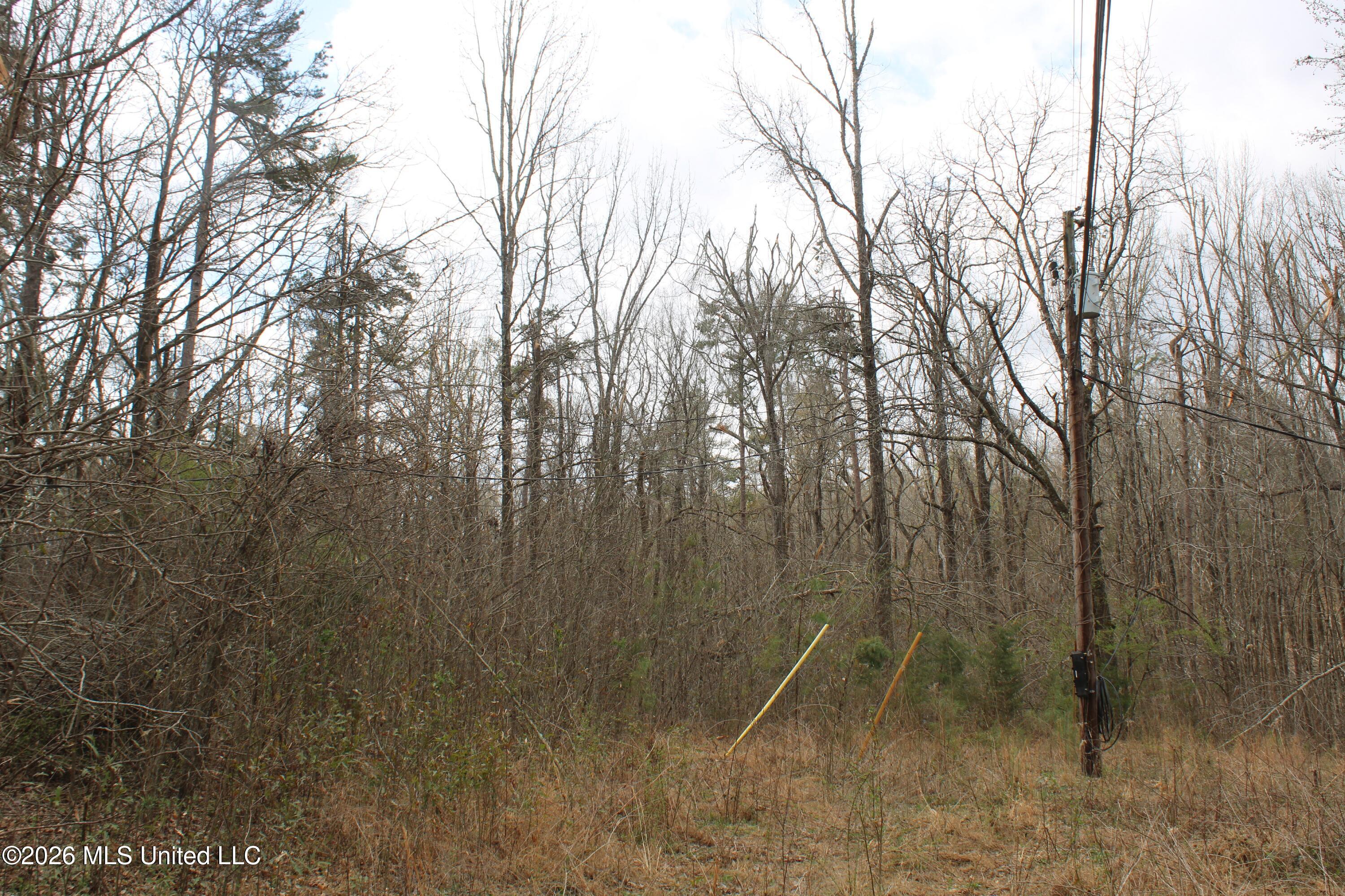62 County Road 198 Property Photo 15