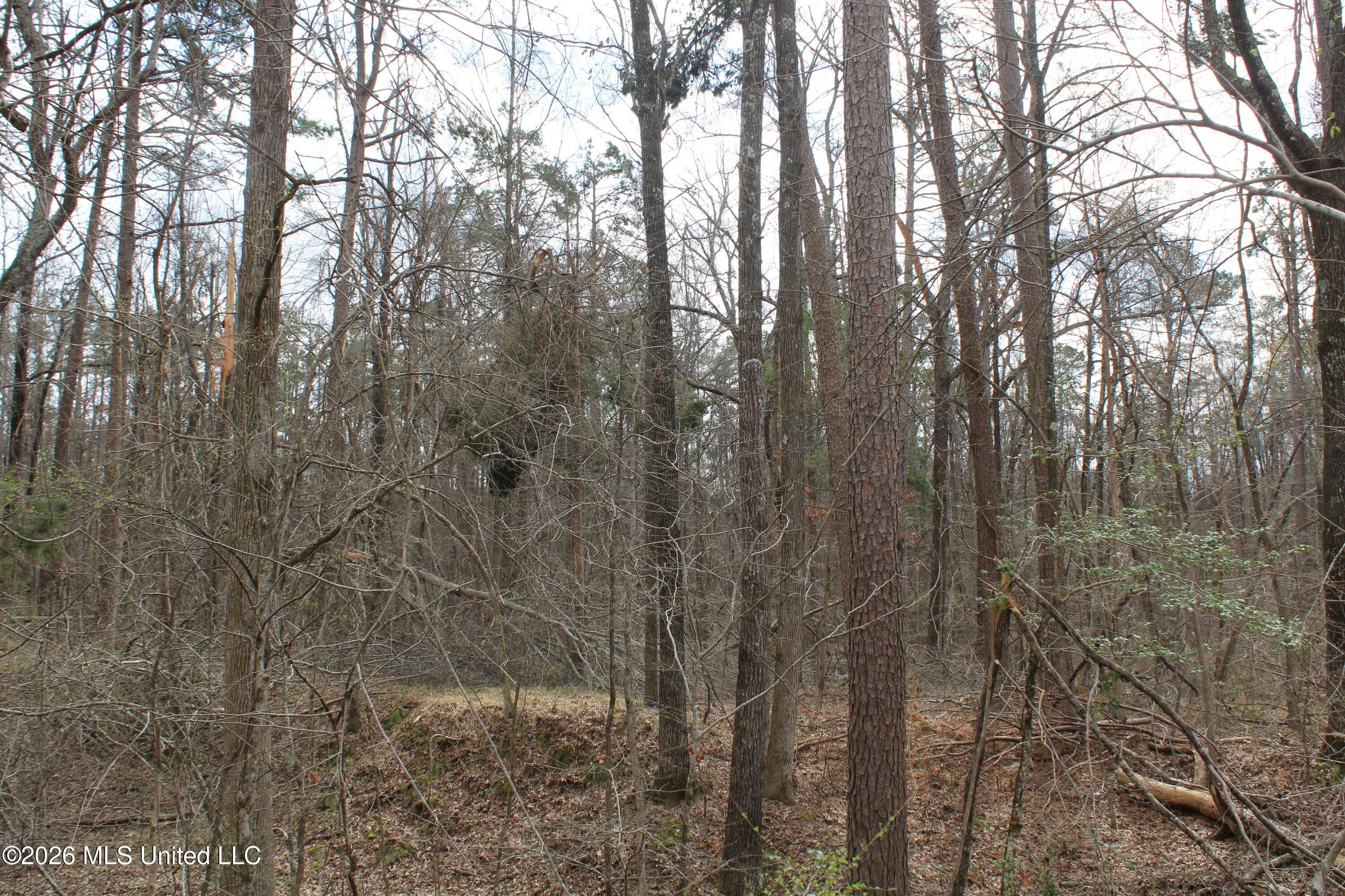 62 County Road 198 Property Photo 16